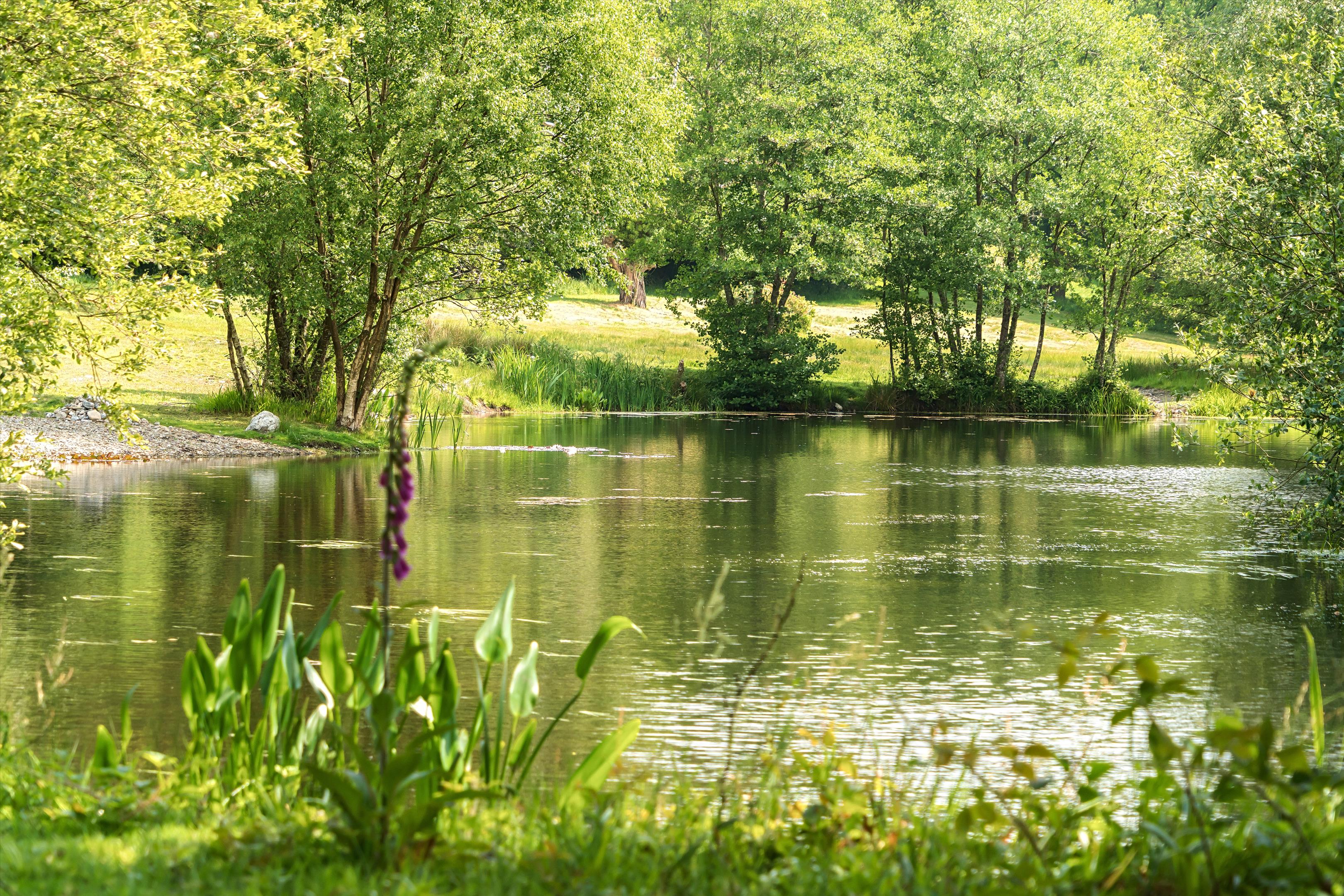 Two Waters Foot, Liskeard, Cornwall, PL14