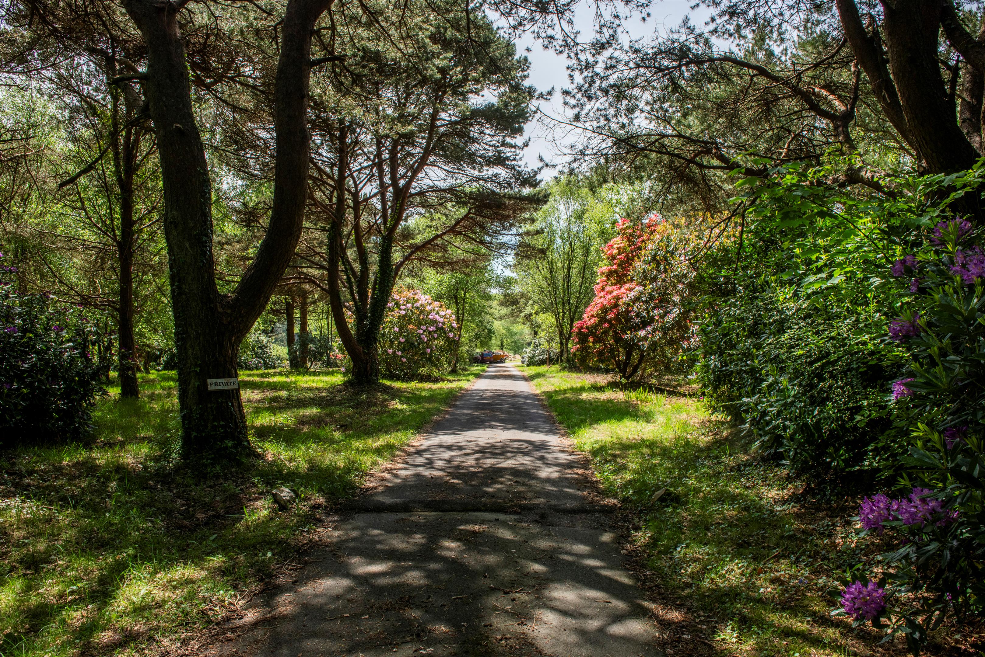 Woodhouse Lane, Uplyme, Lyme Regis, Devon, DT7