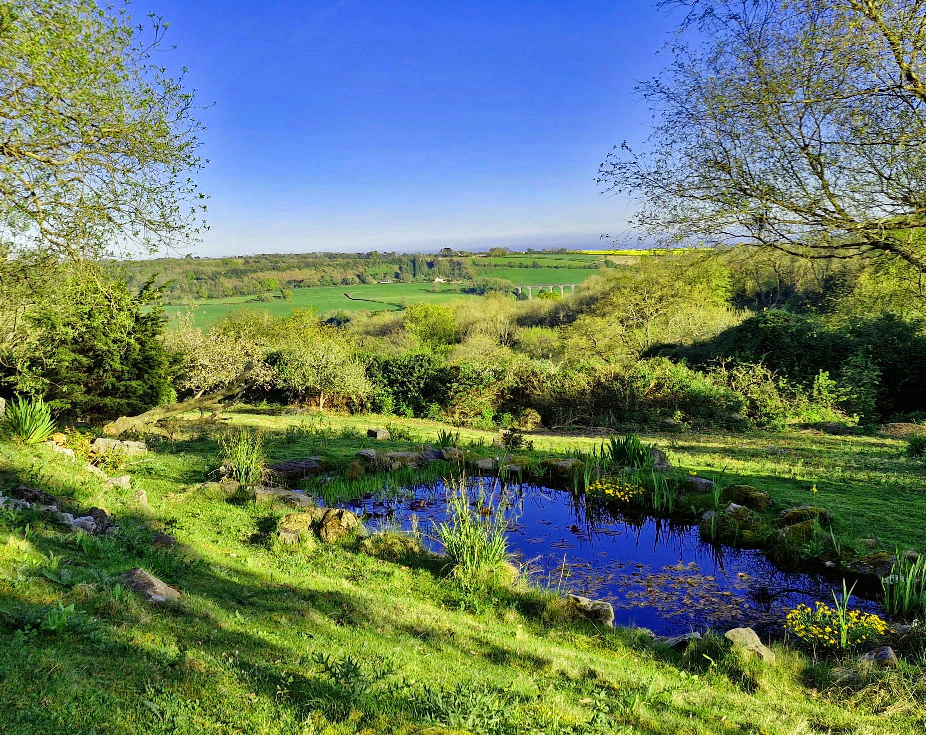 Woodhouse Lane, Uplyme, Lyme Regis, Devon, DT7