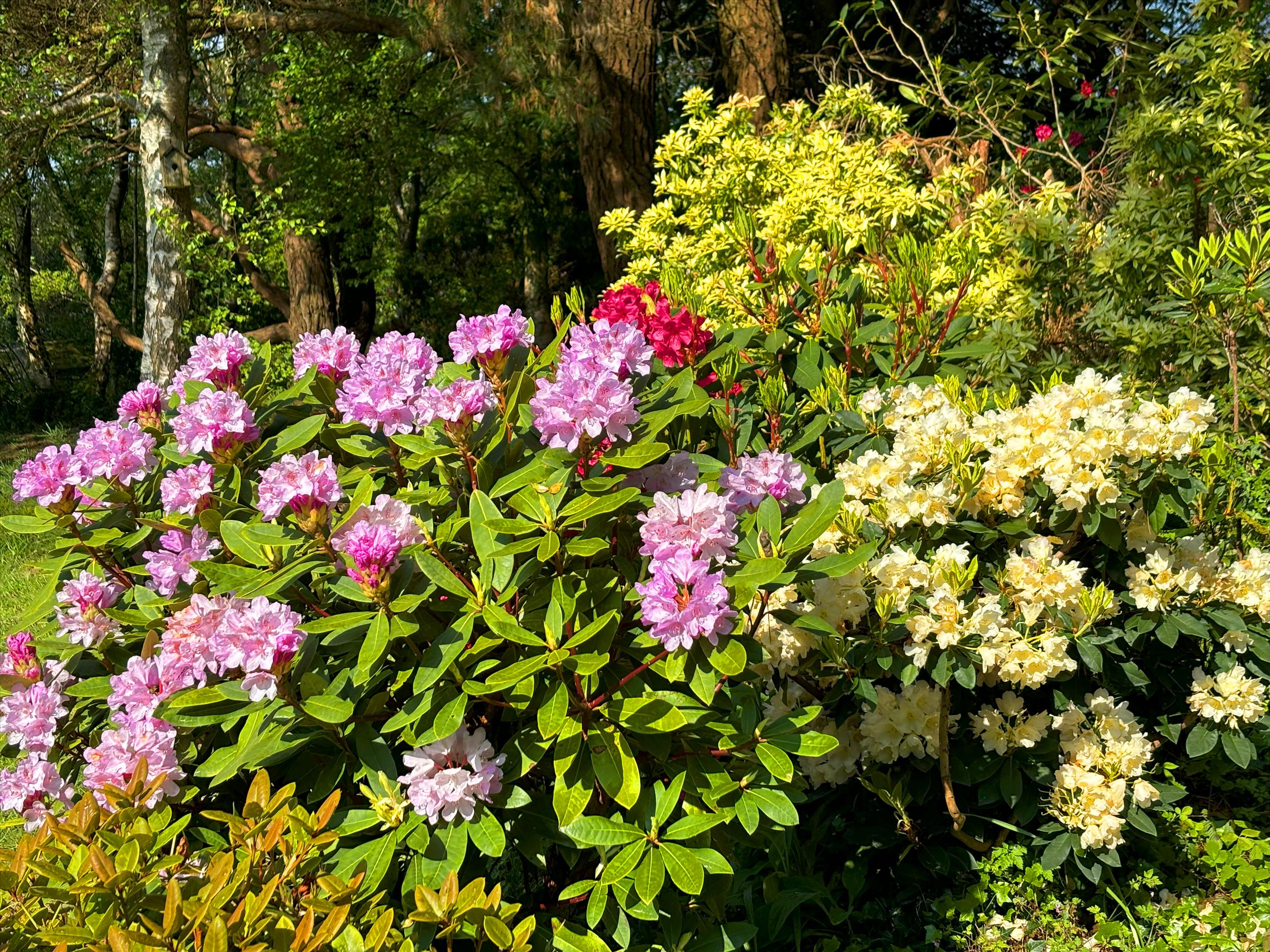 Woodhouse Lane, Uplyme, Lyme Regis, Devon, DT7