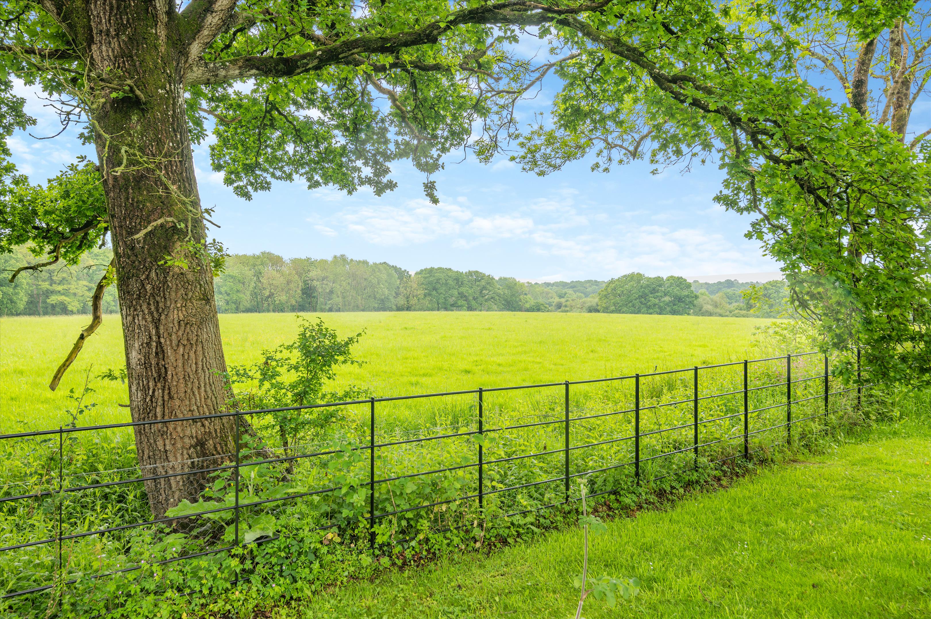 Bishops Down, Sherborne, Dorset, DT9