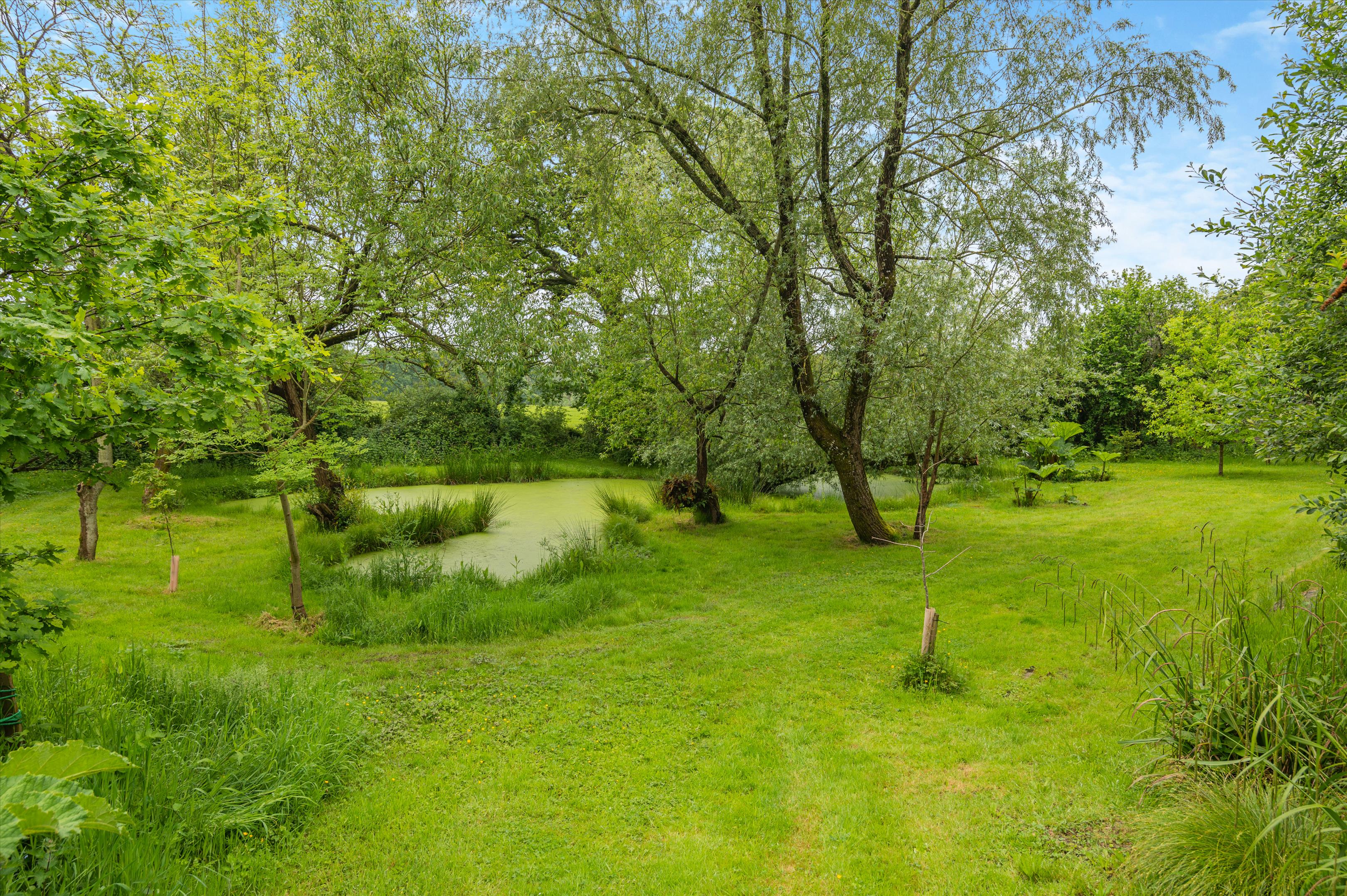 Bishops Down, Sherborne, Dorset, DT9