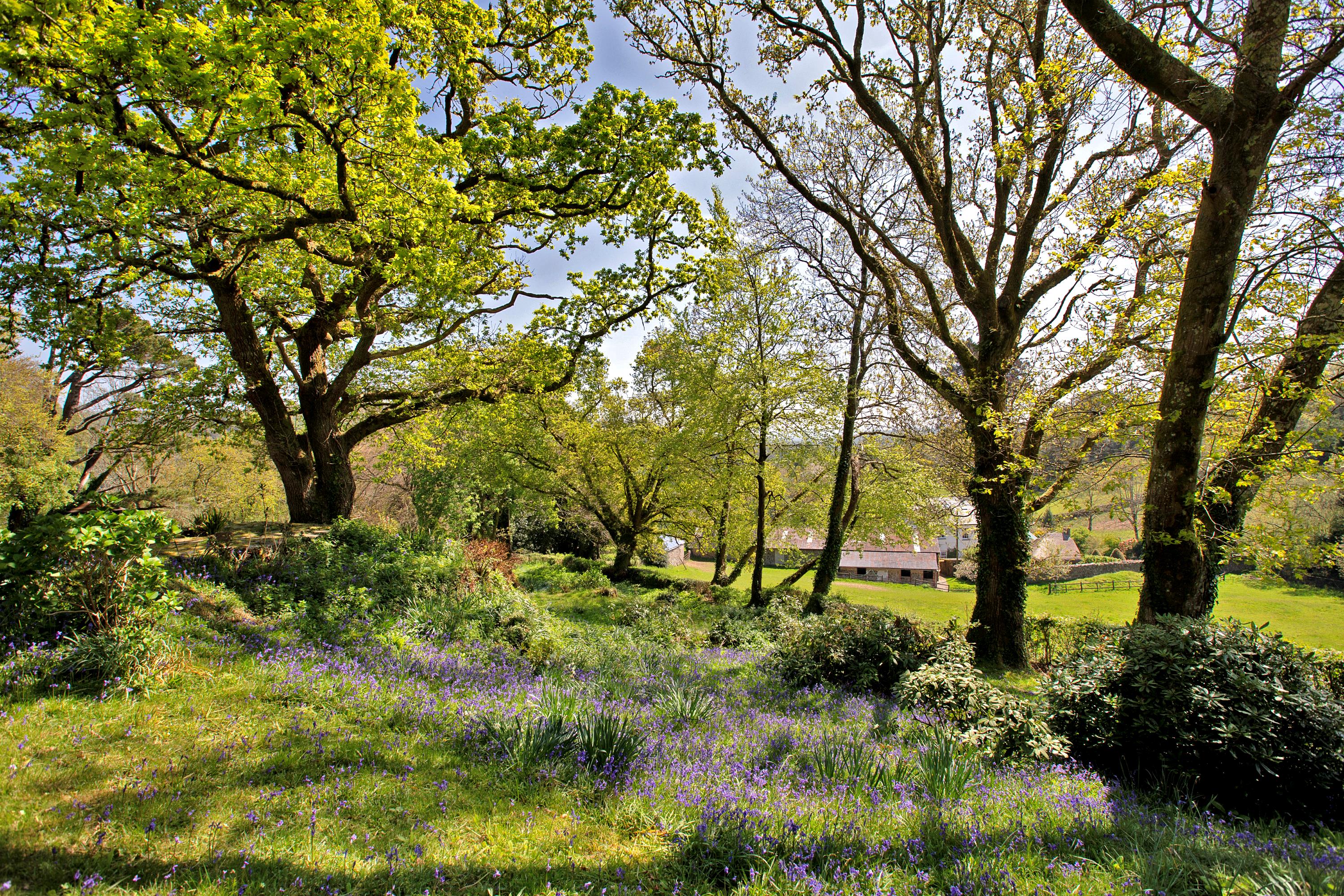 Lustleigh, Newton Abbot, Devon, TQ13