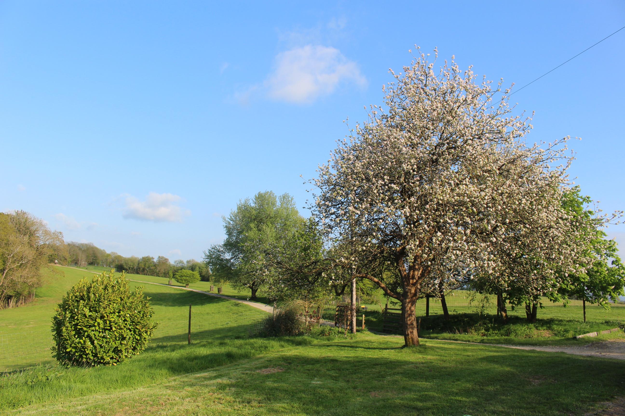 Hatherleigh, Okehampton, Devon EX20