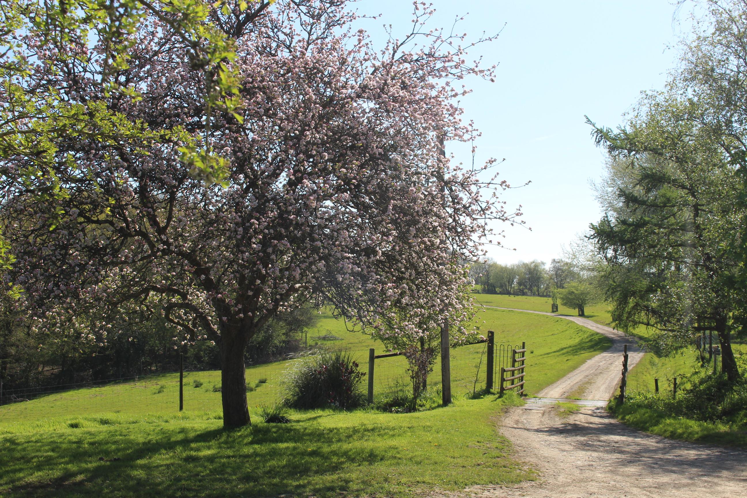 Hatherleigh, Okehampton, Devon EX20