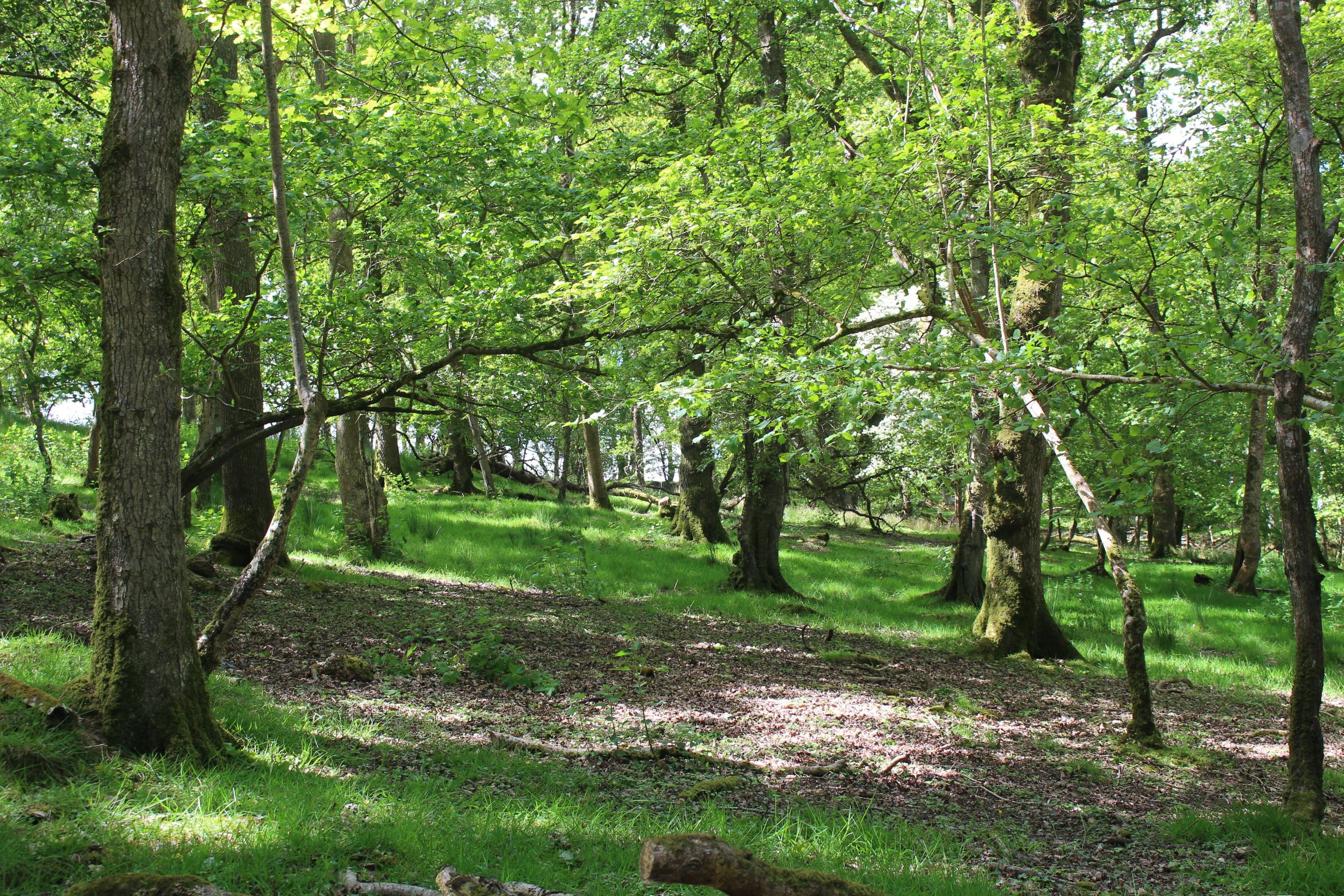 Hatherleigh, Okehampton, Devon EX20