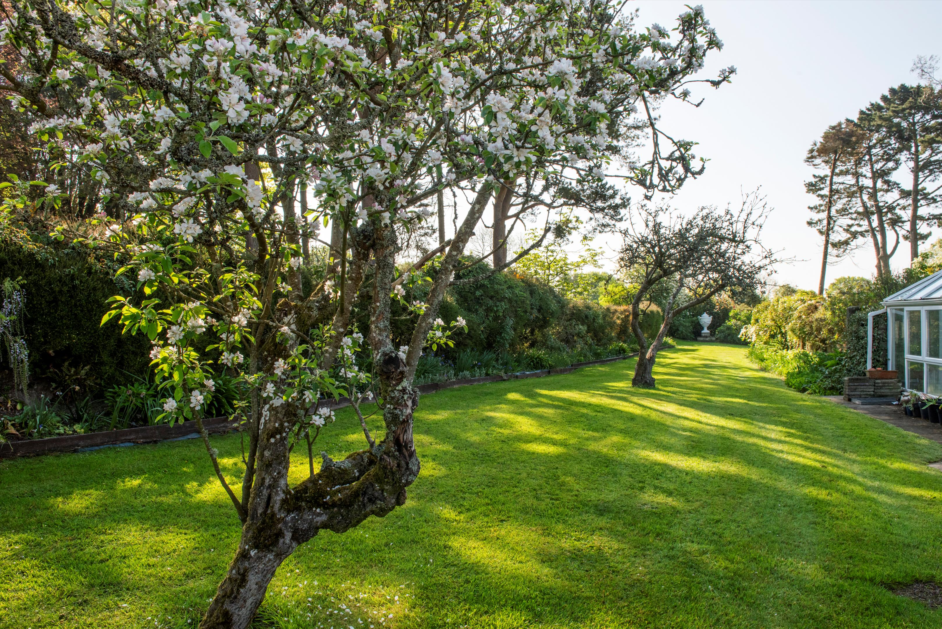 Near Lyme regis, Axminster, Devon, EX13