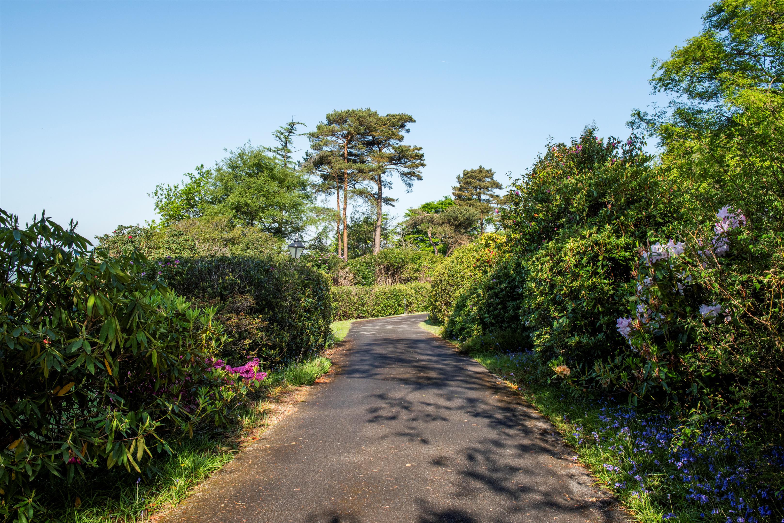 Near Lyme regis, Axminster, Devon, EX13