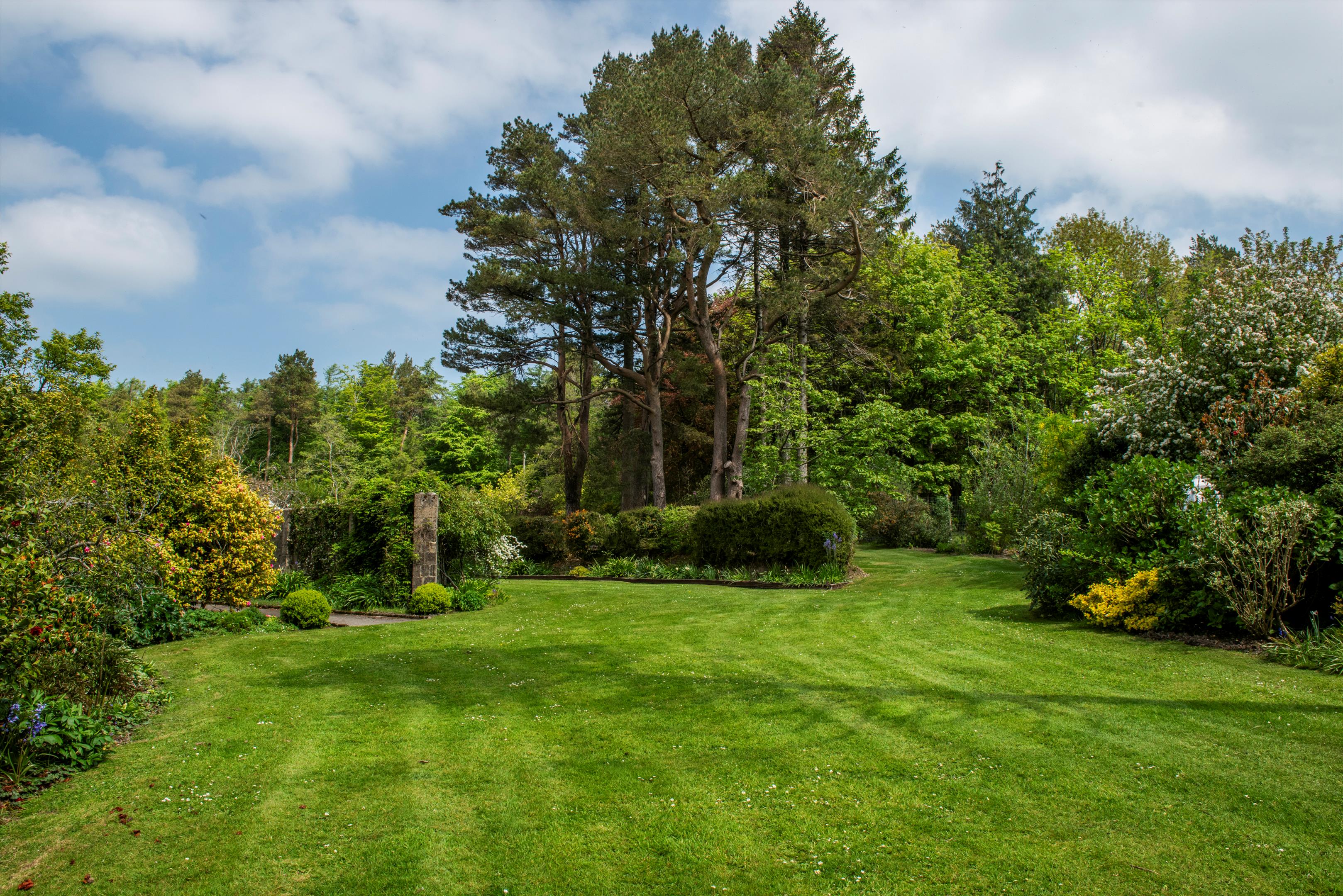 Near Lyme regis, Axminster, Devon, EX13