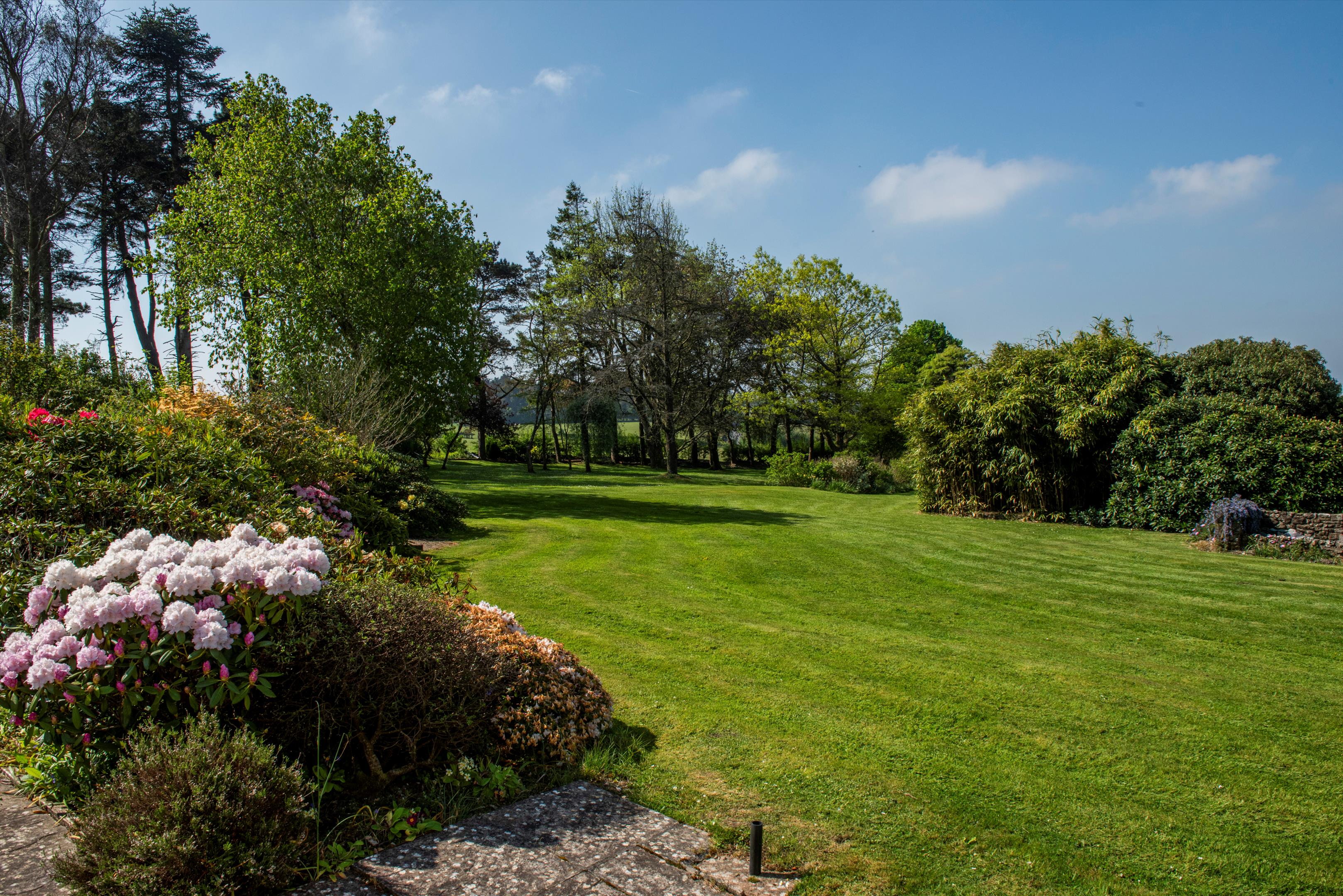 Near Lyme regis, Axminster, Devon, EX13