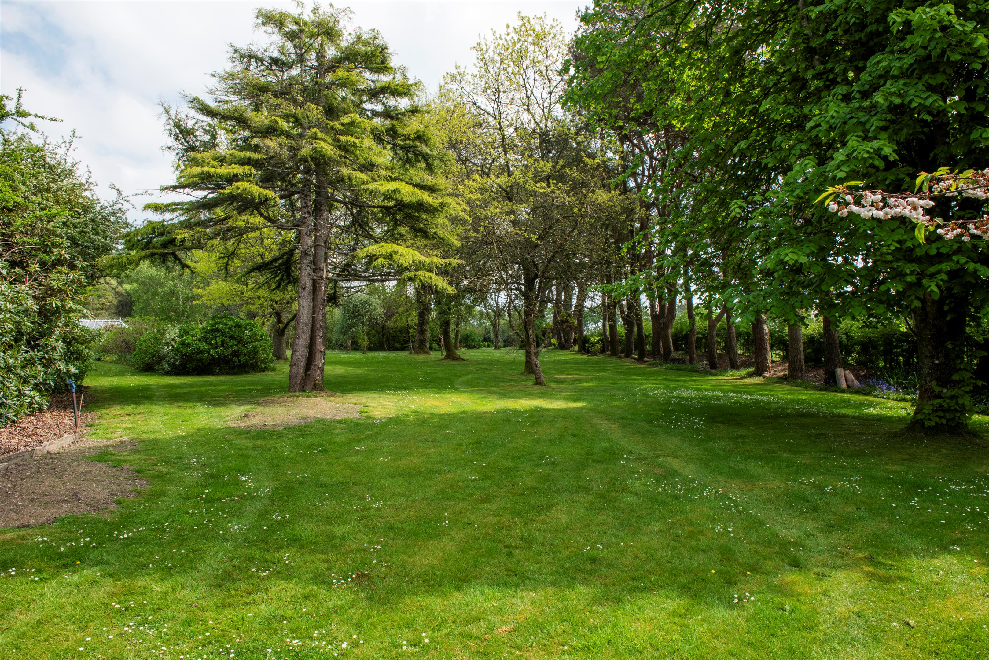 Near Lyme regis, Axminster, Devon, EX13