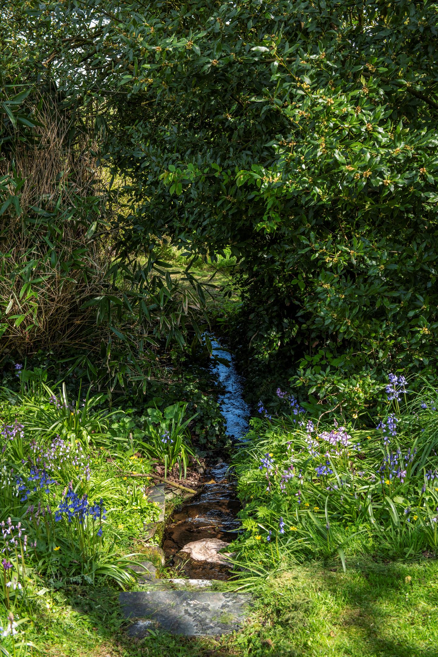 Cullompton, Devon, EX15.