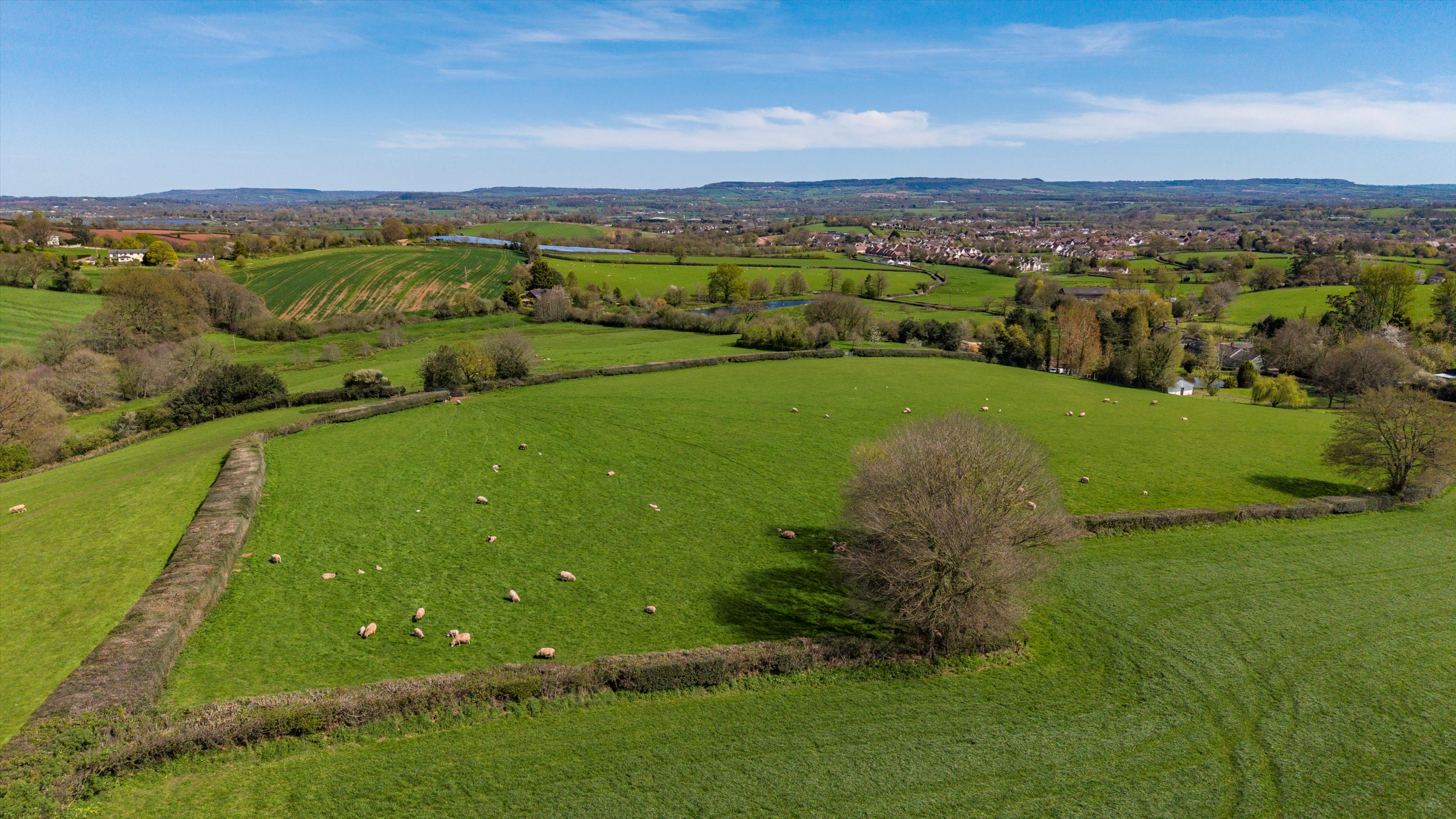 Cullompton, Devon, EX15.