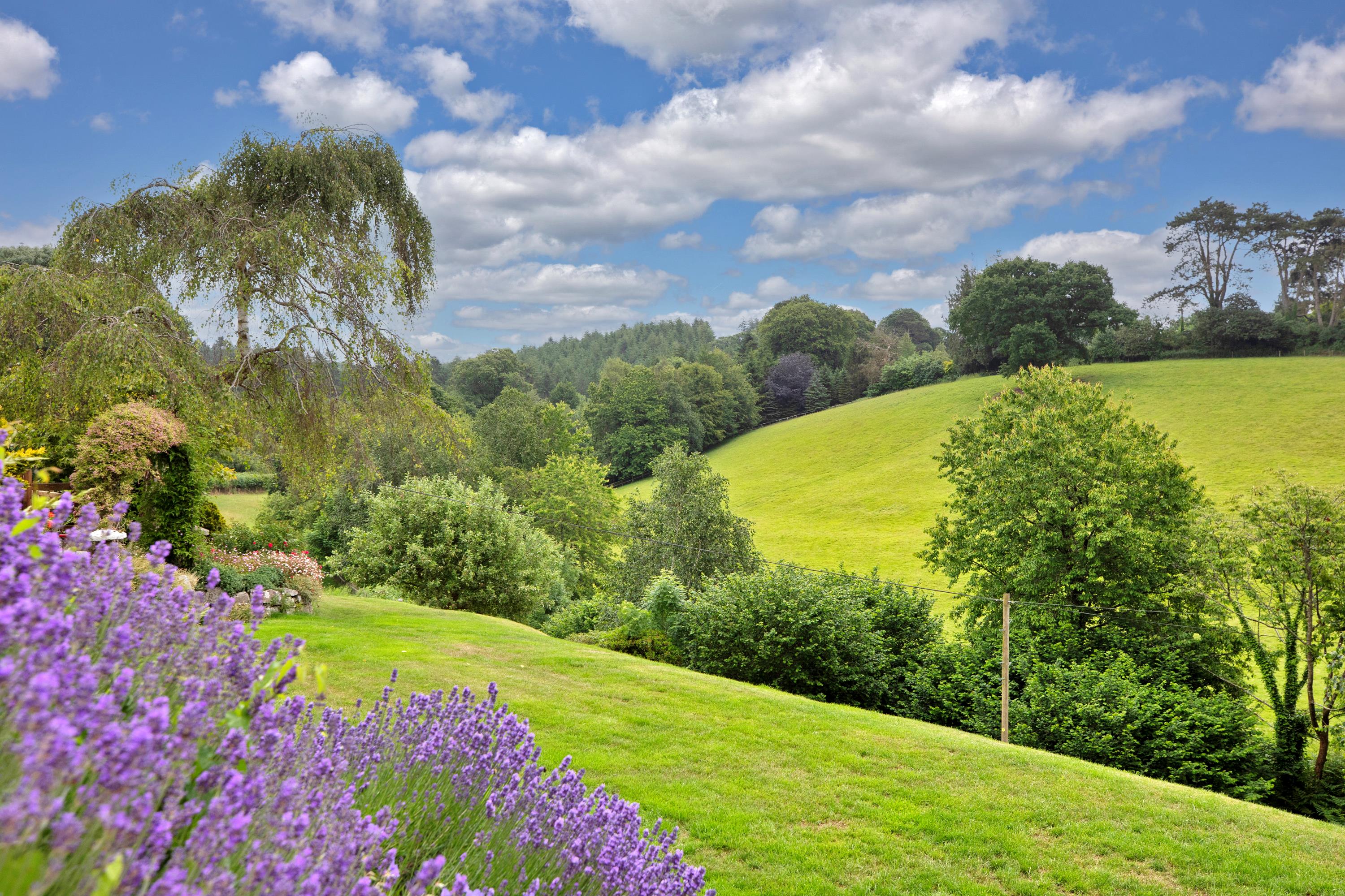 Harpford, Sidmouth, Devon, EX10