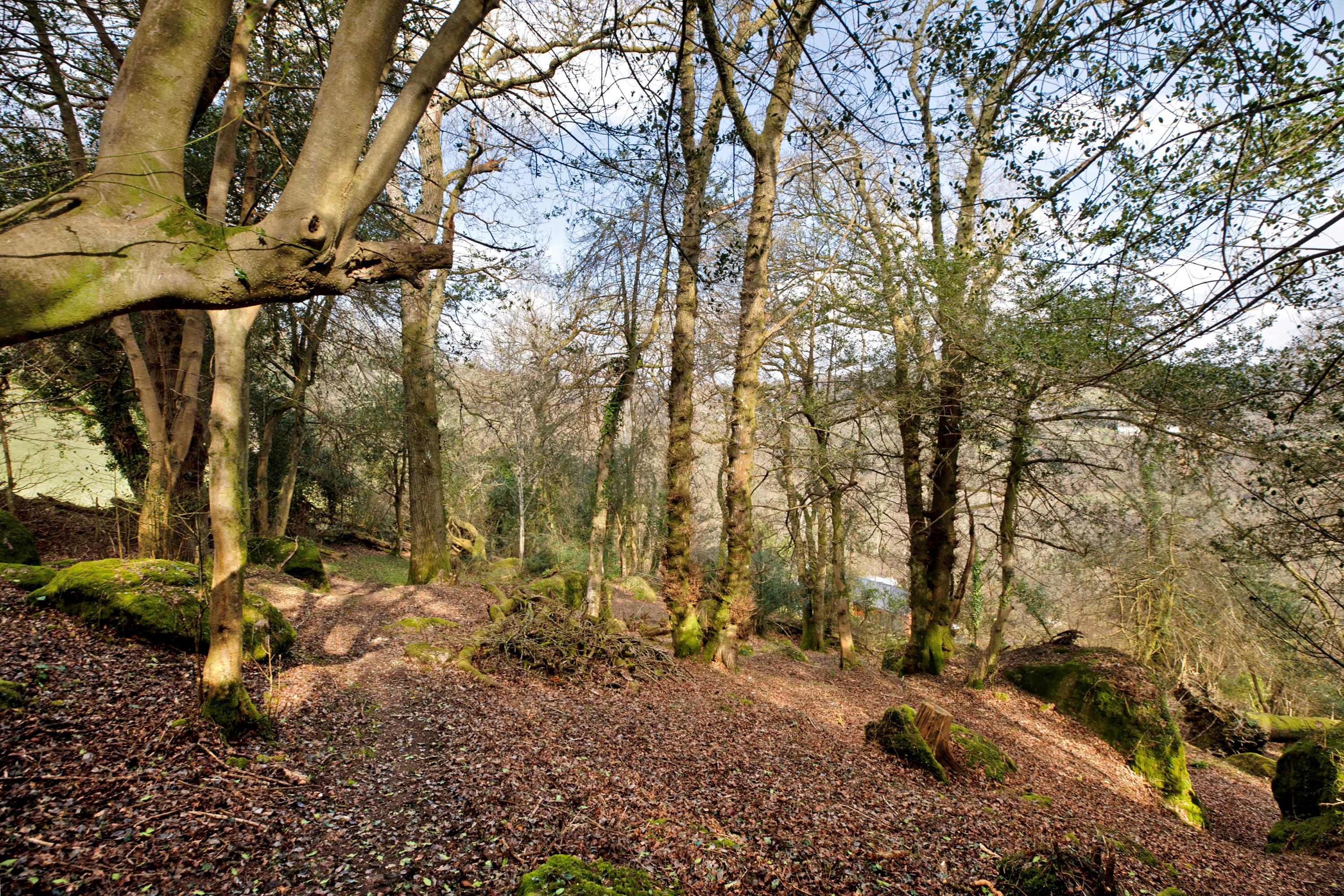 Pethybridge, Lustleigh, Newton Abbot, Devon, TQ13