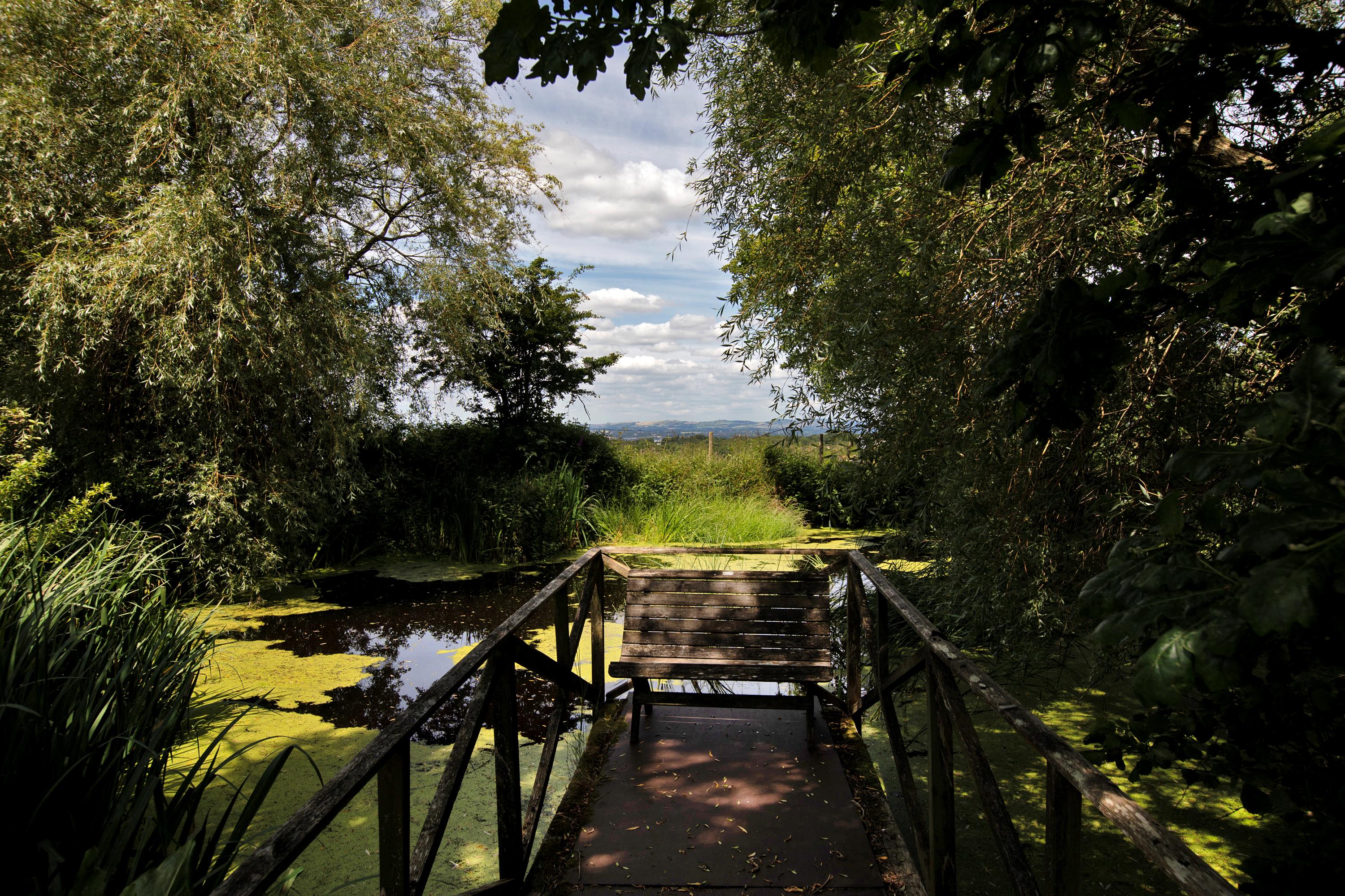 Nr Woodbury, Exeter, Devon EX5