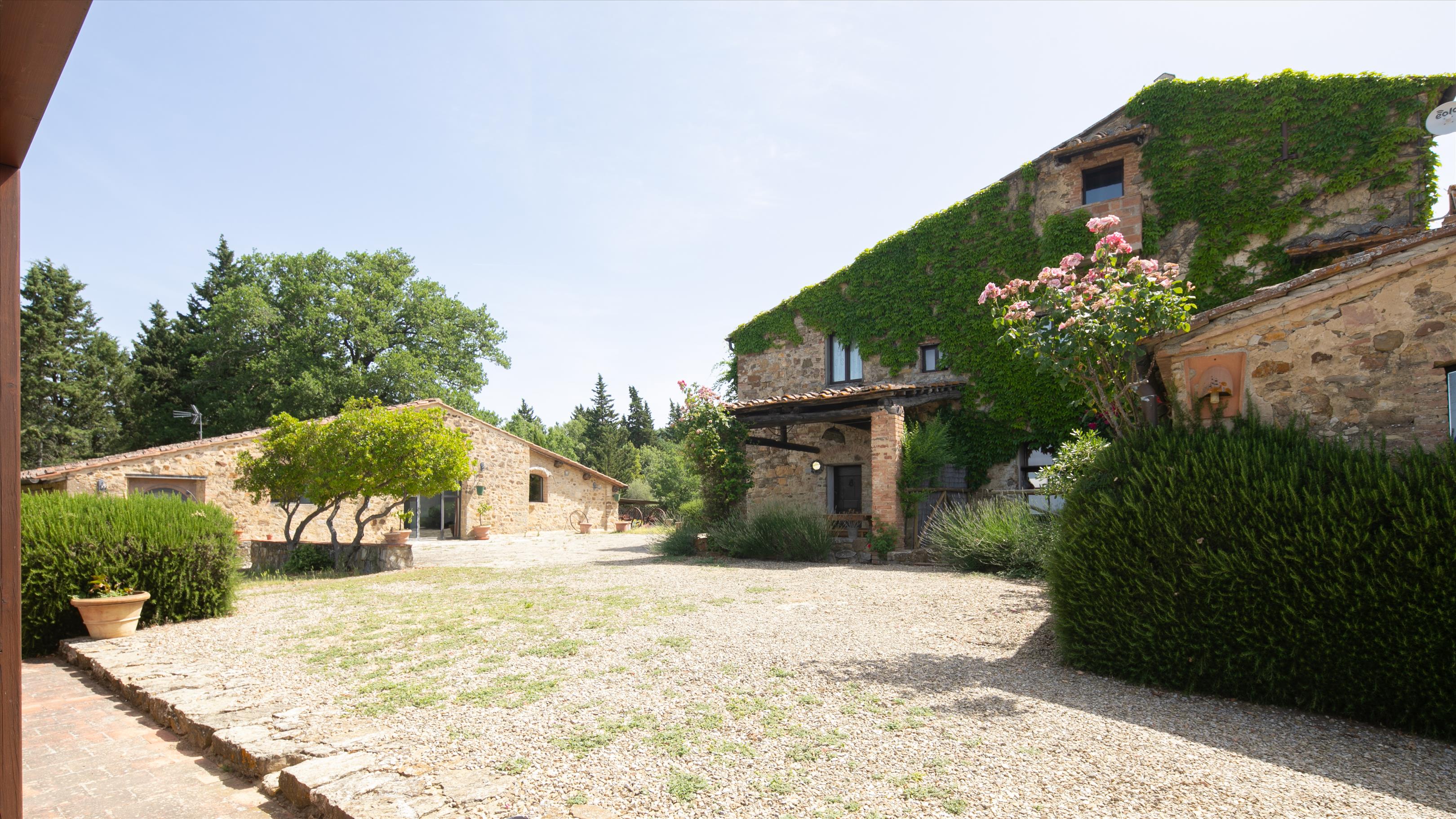 Castellina in Chianti, Siena, Tuscany