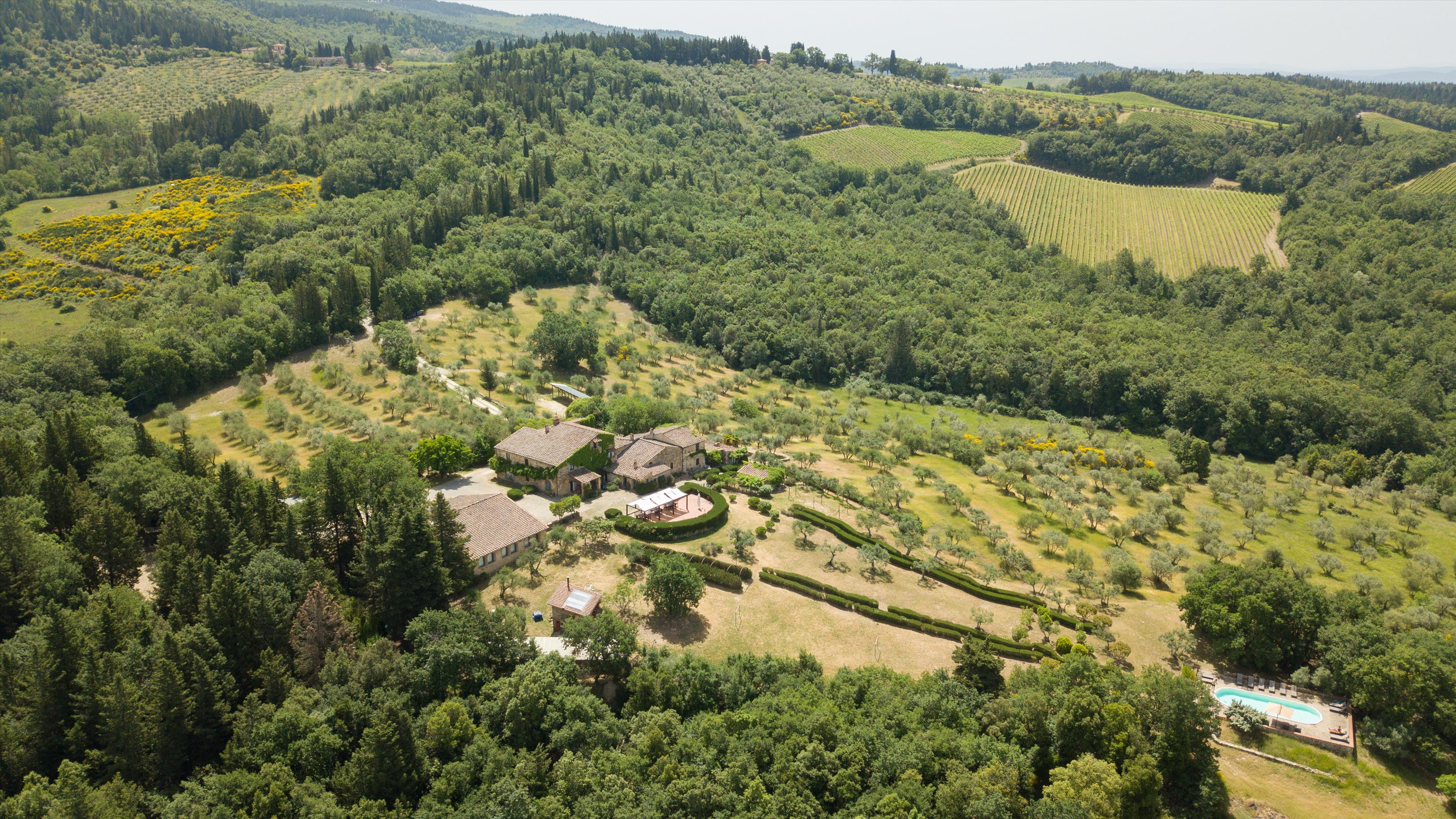 Castellina in Chianti, Siena, Tuscany