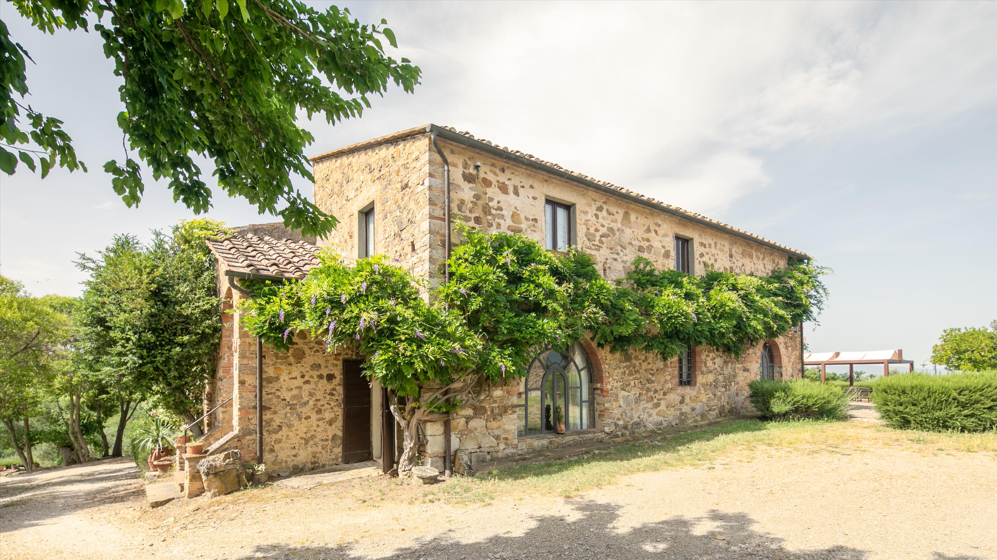 Castellina in Chianti, Siena, Tuscany