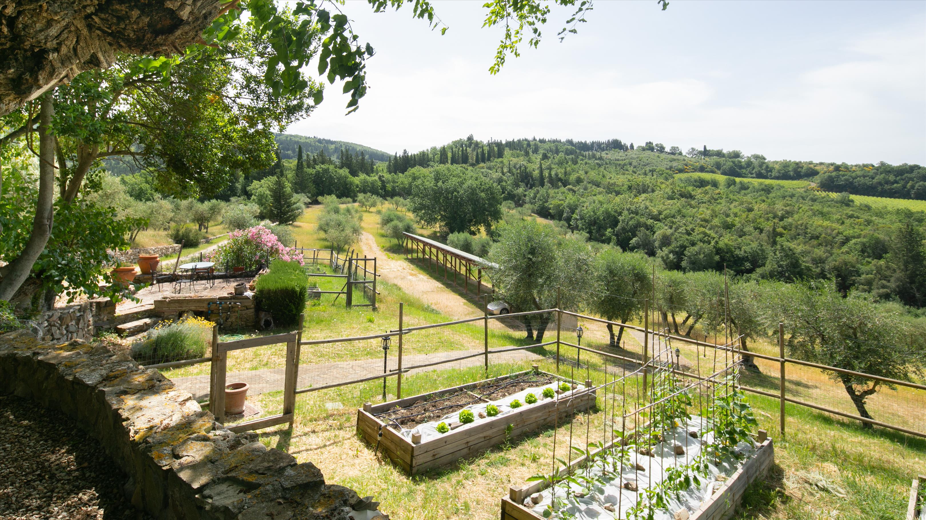 Castellina in Chianti, Siena, Tuscany