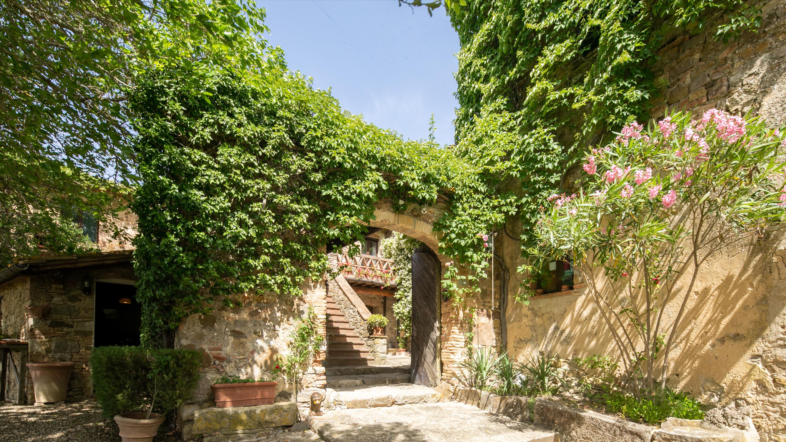 Castellina in Chianti, Siena, Tuscany