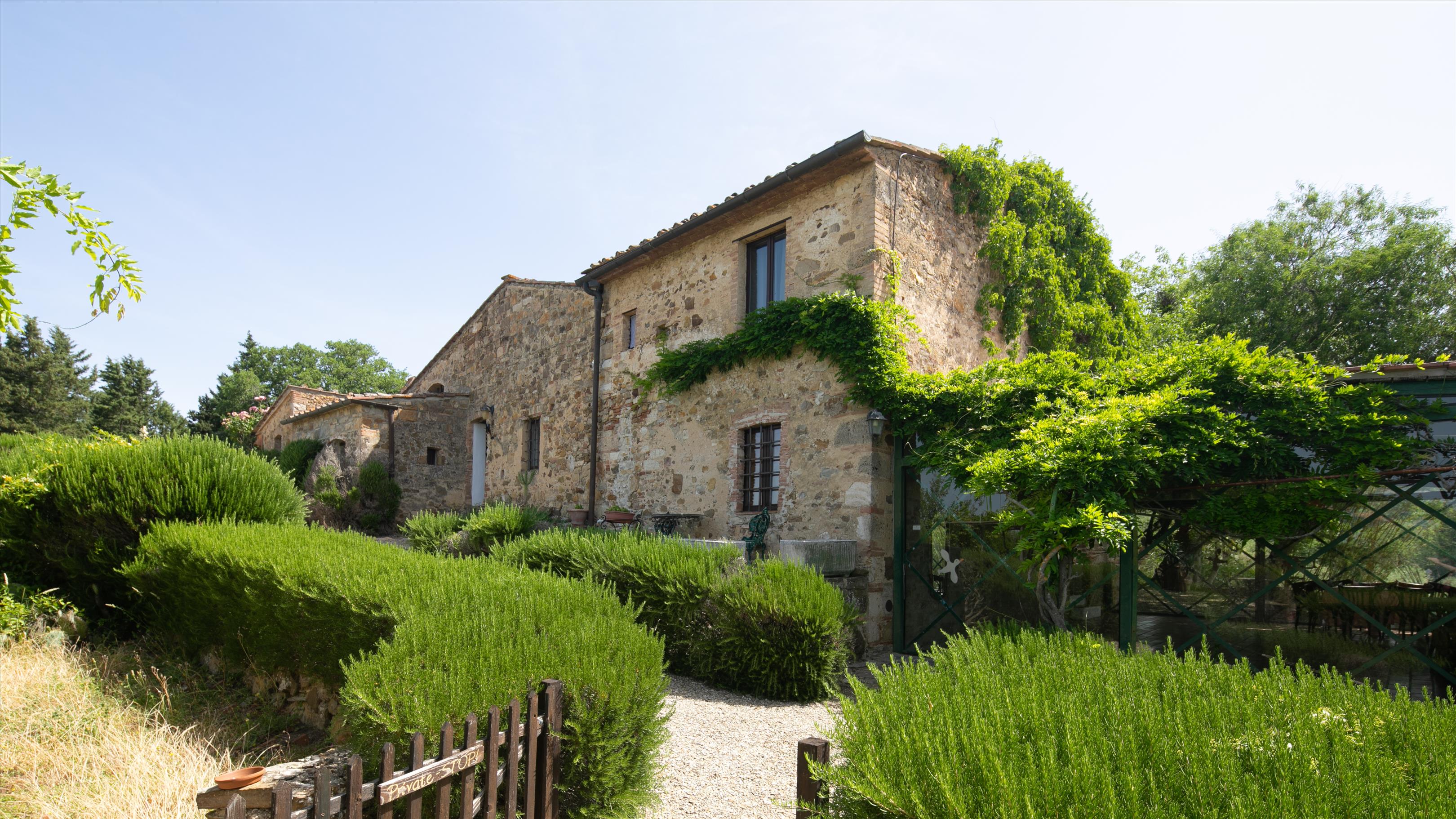 Castellina in Chianti, Siena, Tuscany