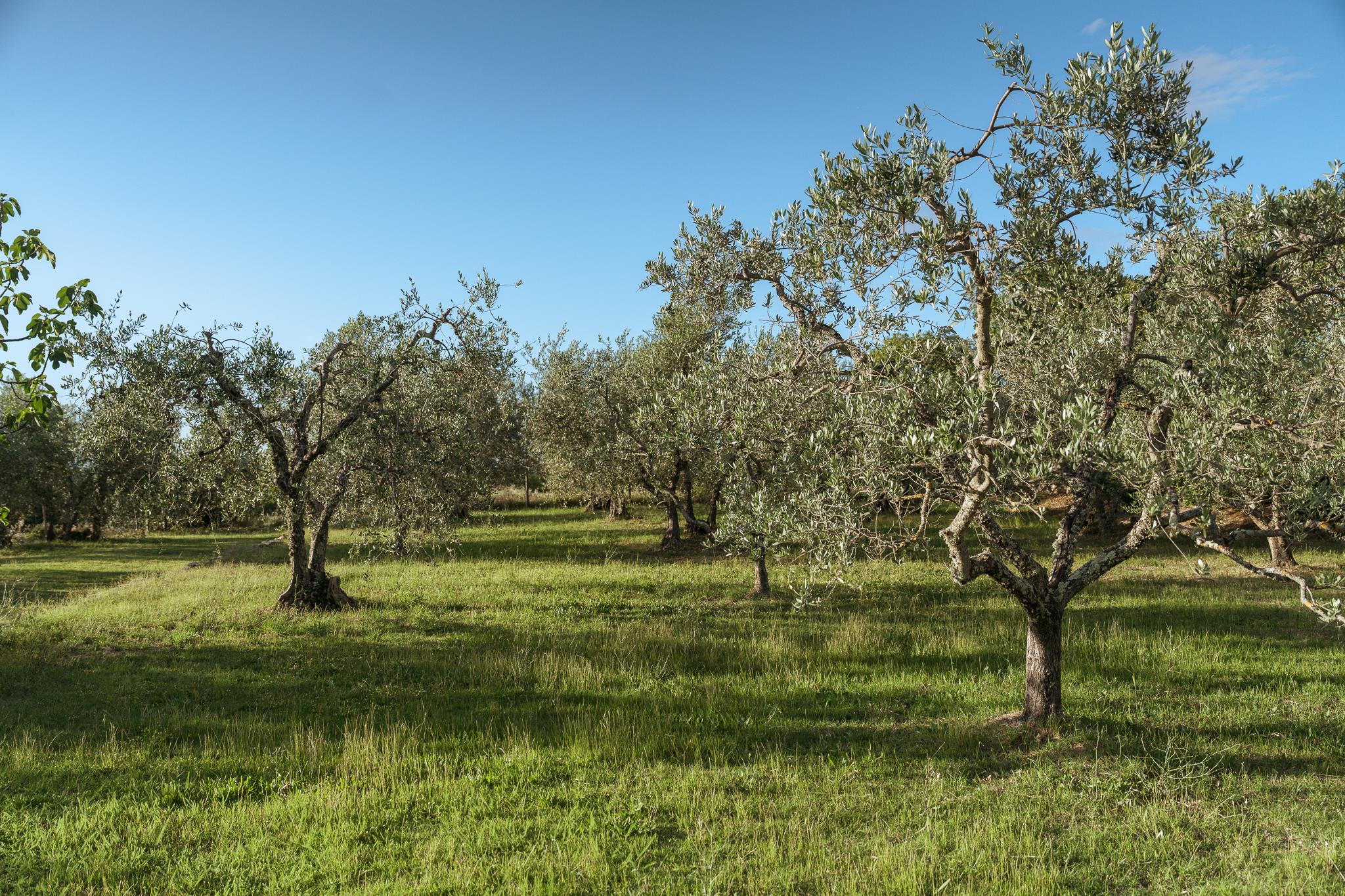 Barberino Val d'Elsa, Tuscany