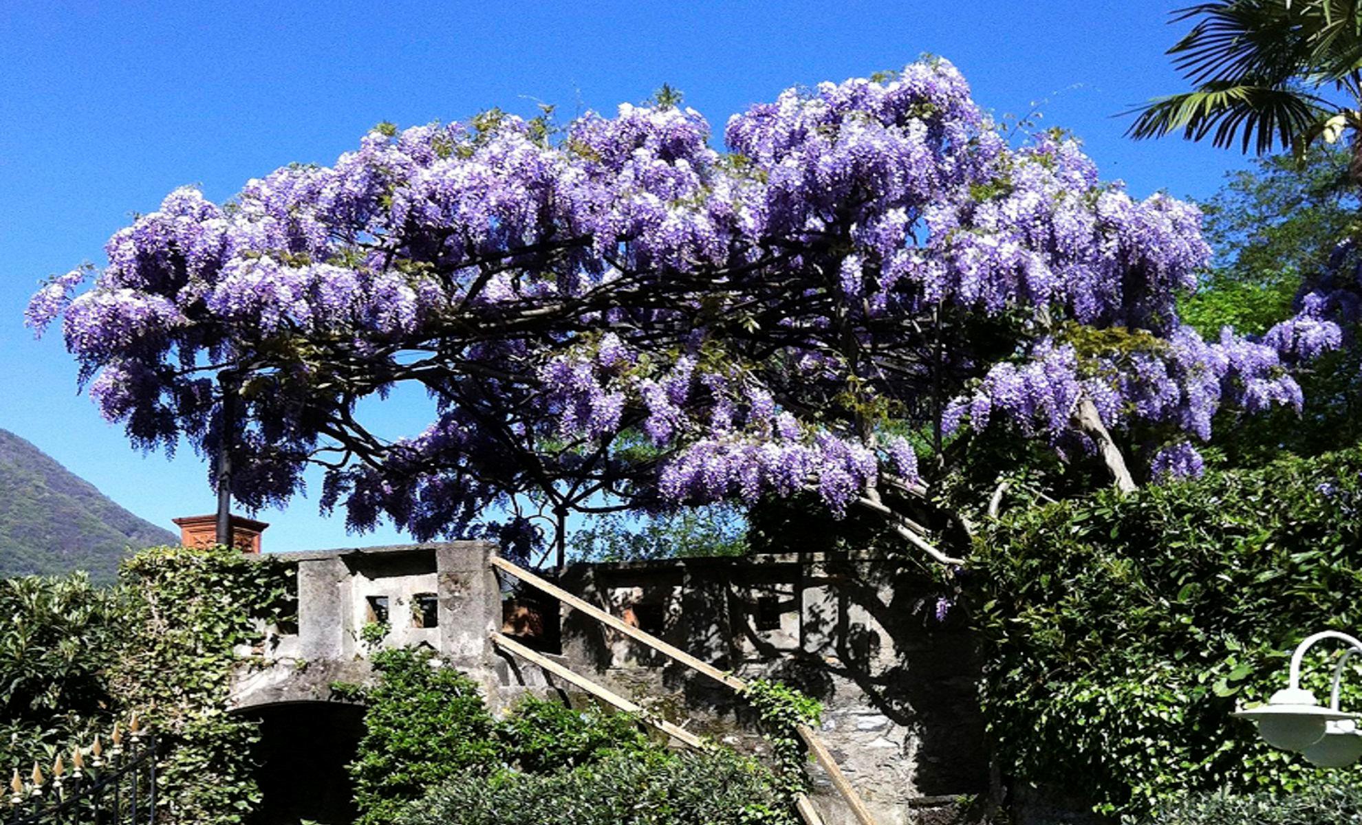 Pognana Lario, Como, Lombardy