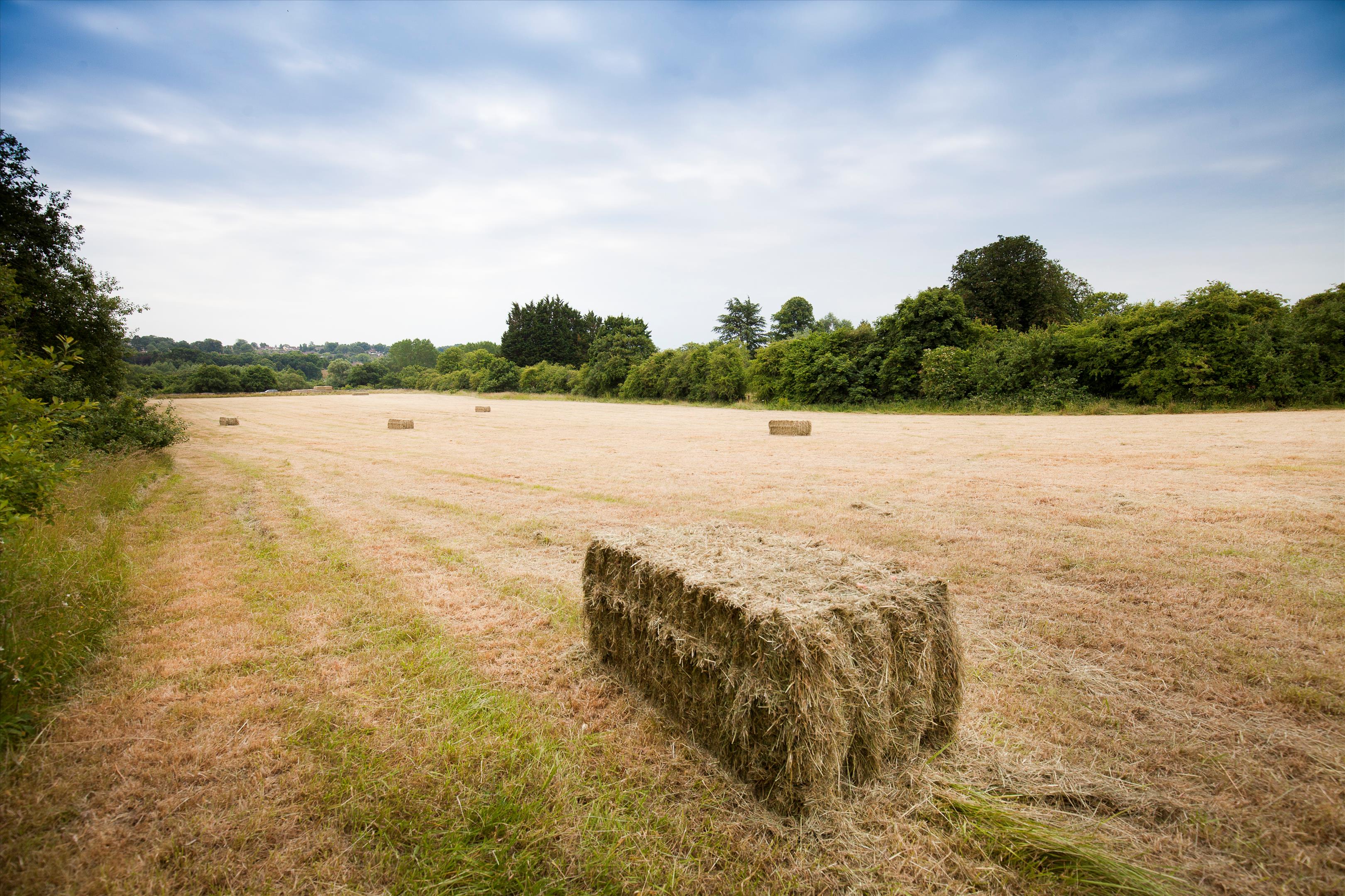 Runwick, Farnham, Surrey, GU10