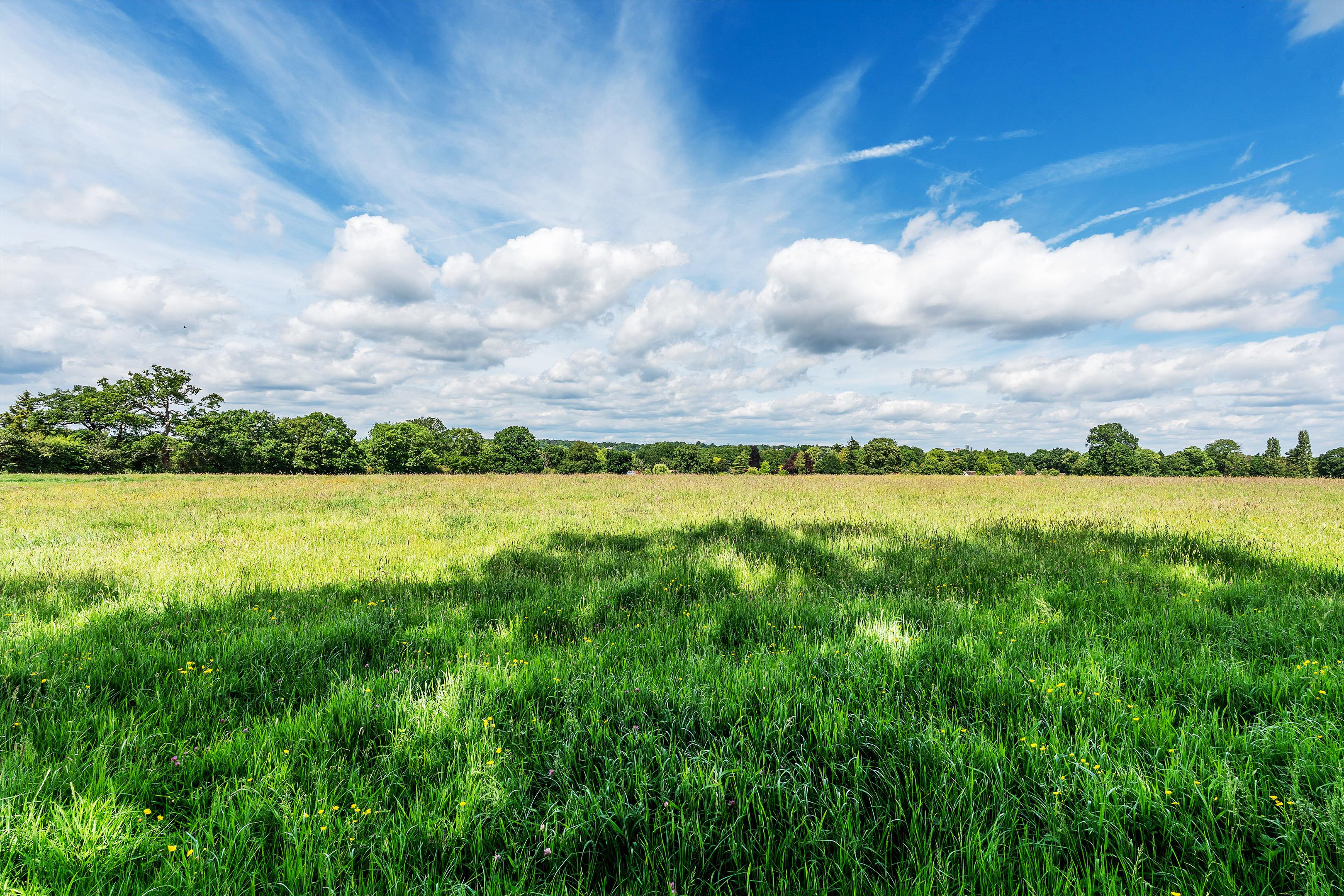 Burdenshot Hill, Worplesdon, Guildford, Surrey GU3 3RL