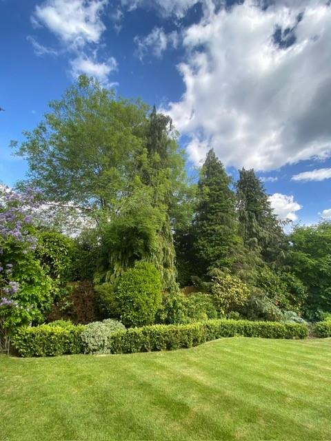 Green Lane, West Clandon, Guildford, Surrey GU4 7UR.