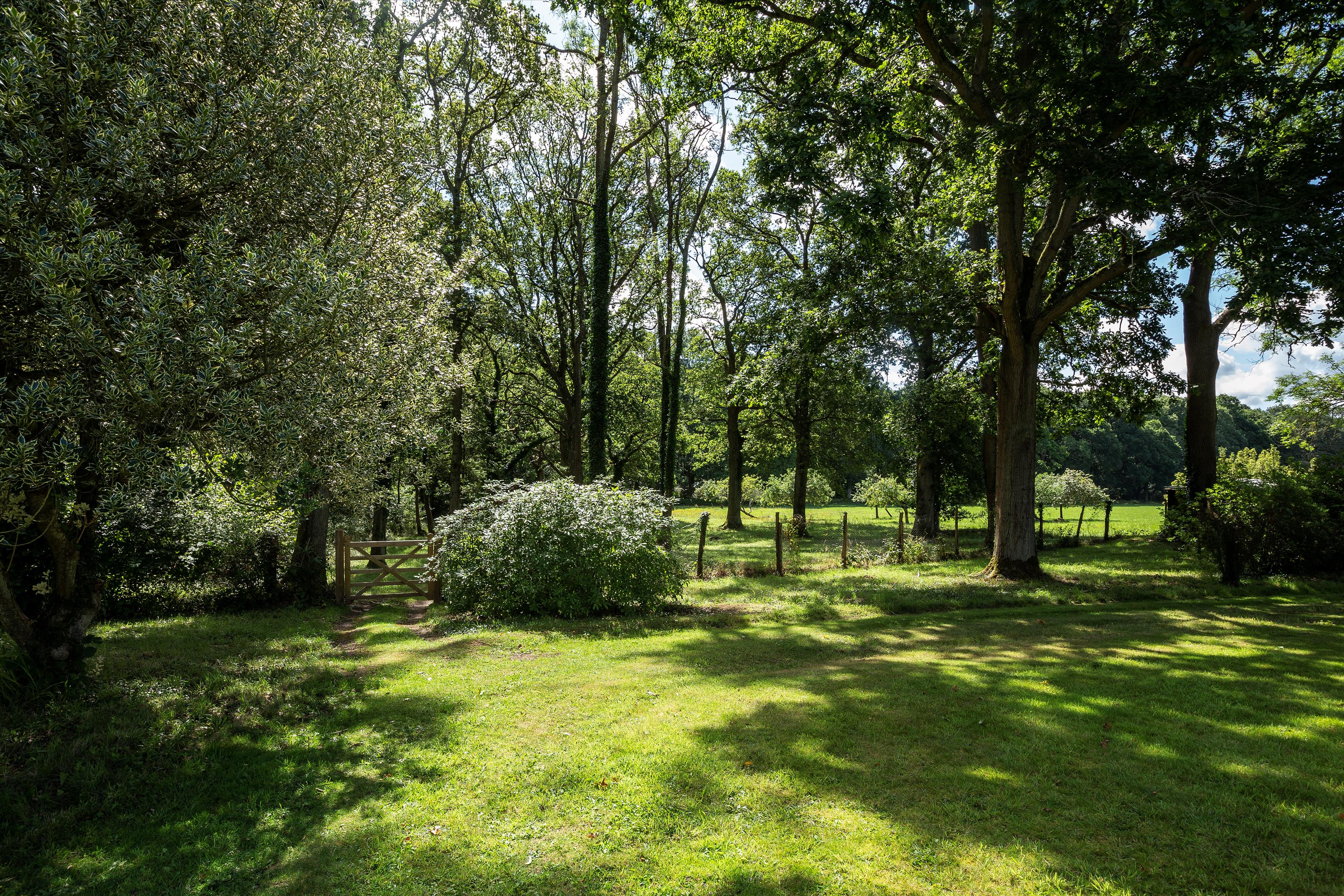 High Street Green, Chiddingfold, Godalming, Surrey, GU8