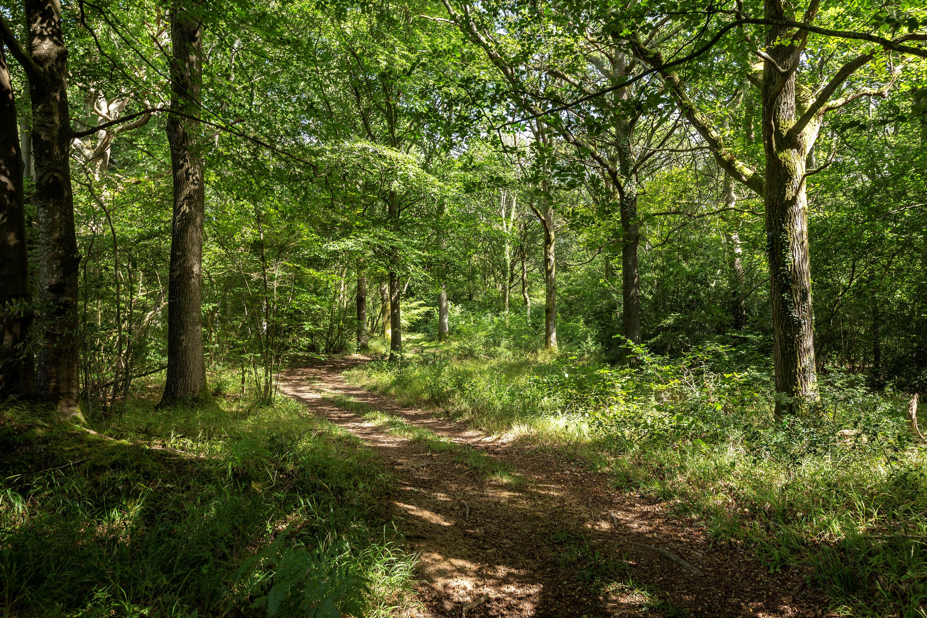High Street Green, Chiddingfold, Godalming, Surrey, GU8