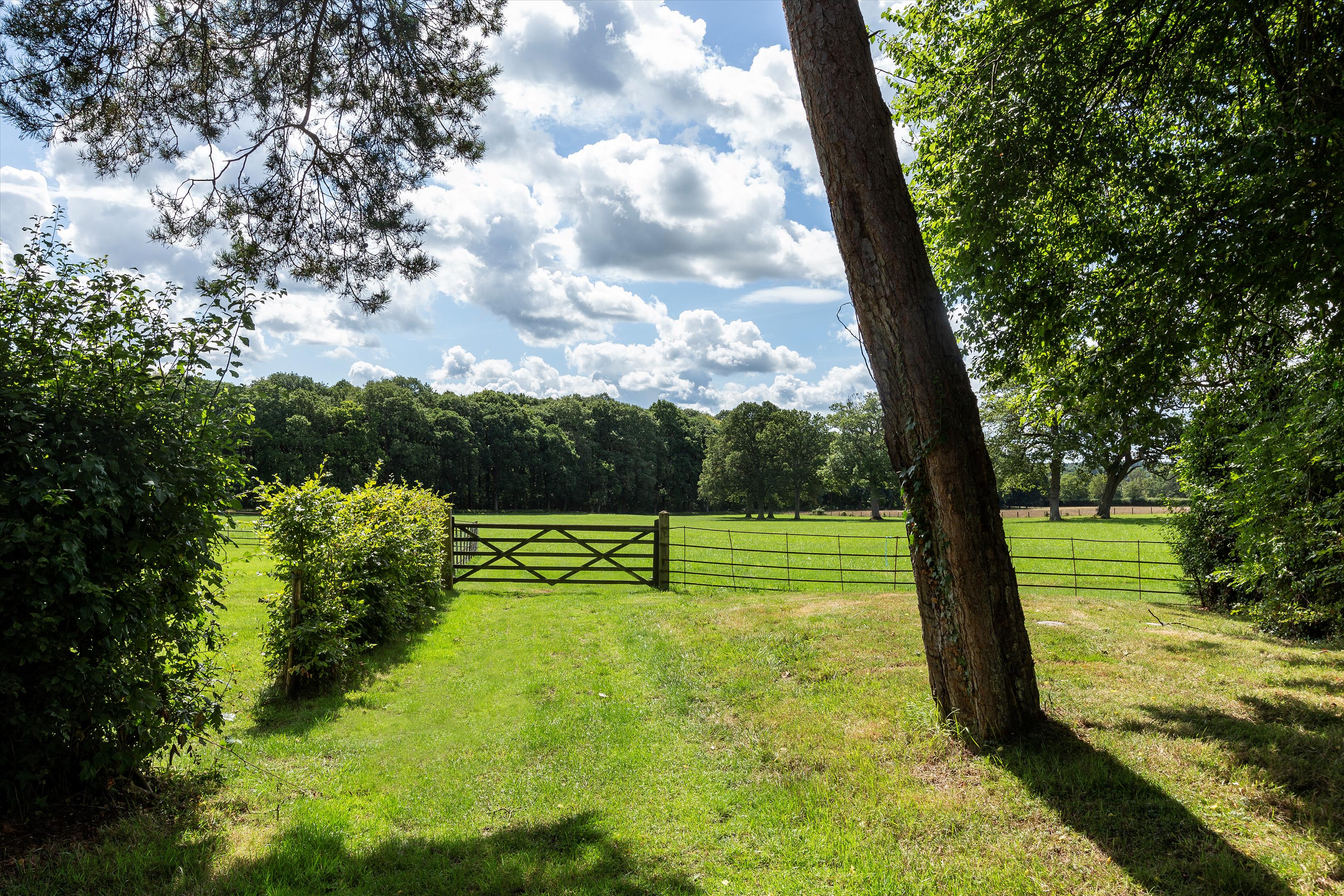 High Street Green, Chiddingfold, Godalming, Surrey, GU8