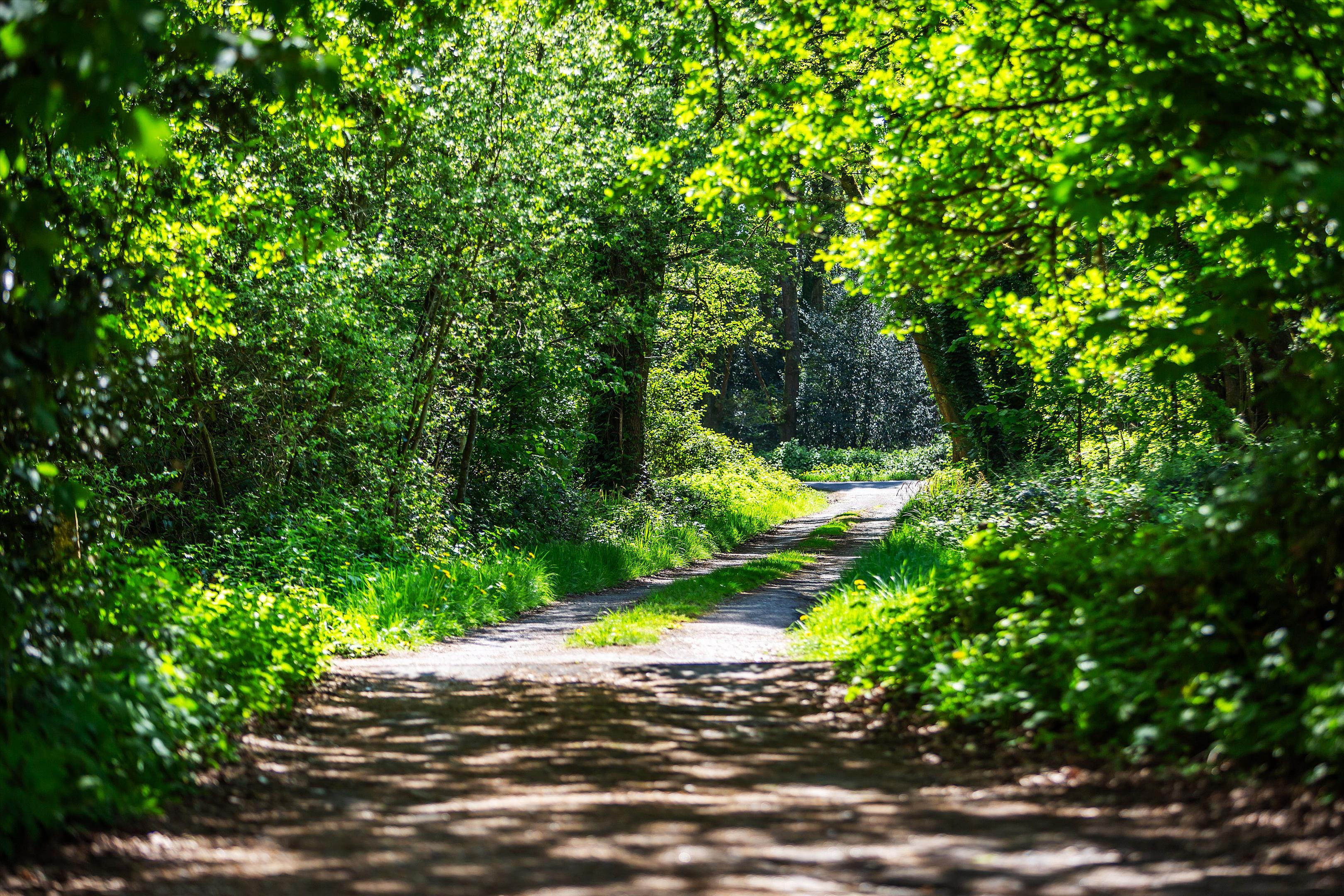 Christmas Hill, Shalford, Guildford, Surrey, GU4