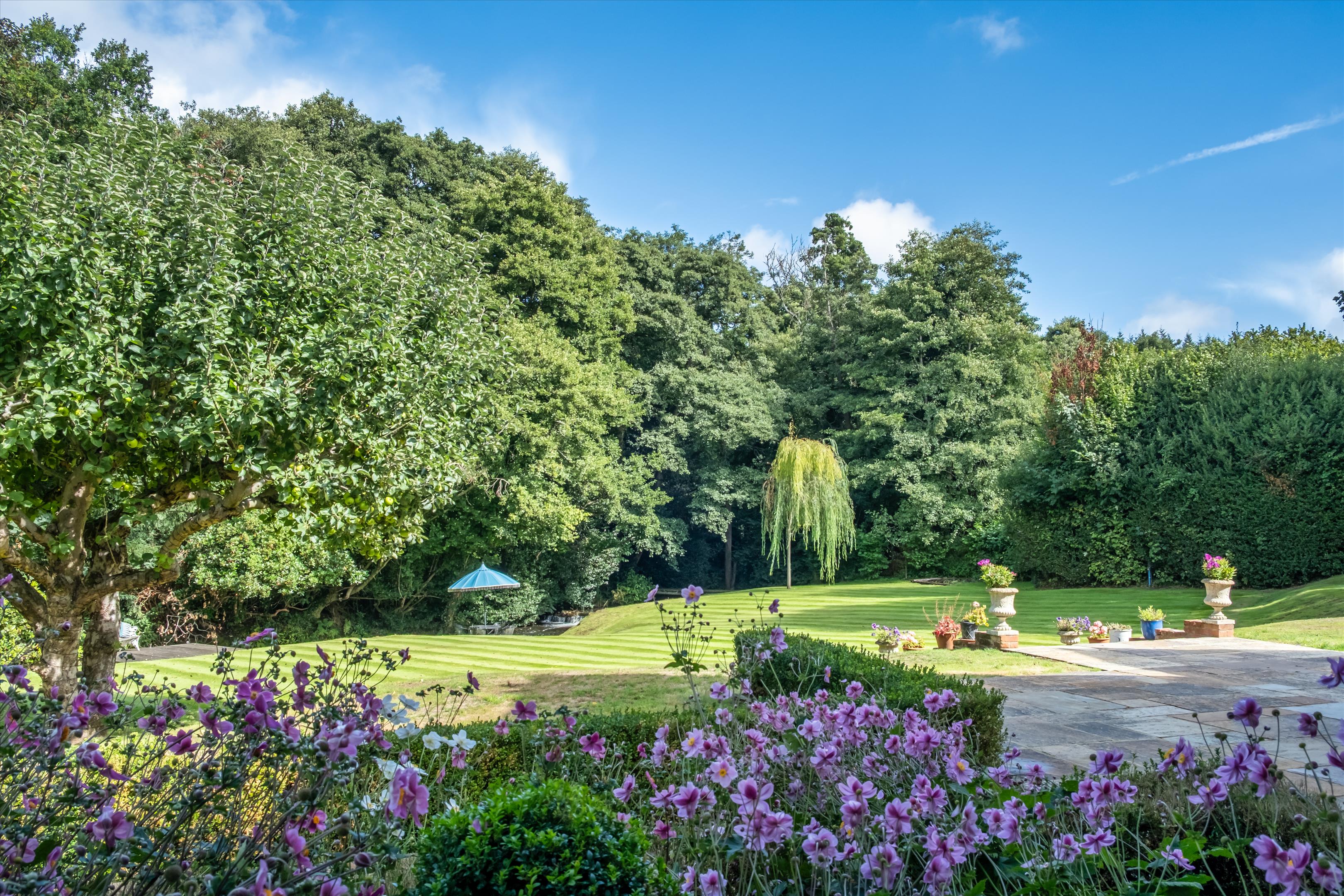 The Street, Albury, Guildford, Surrey GU5