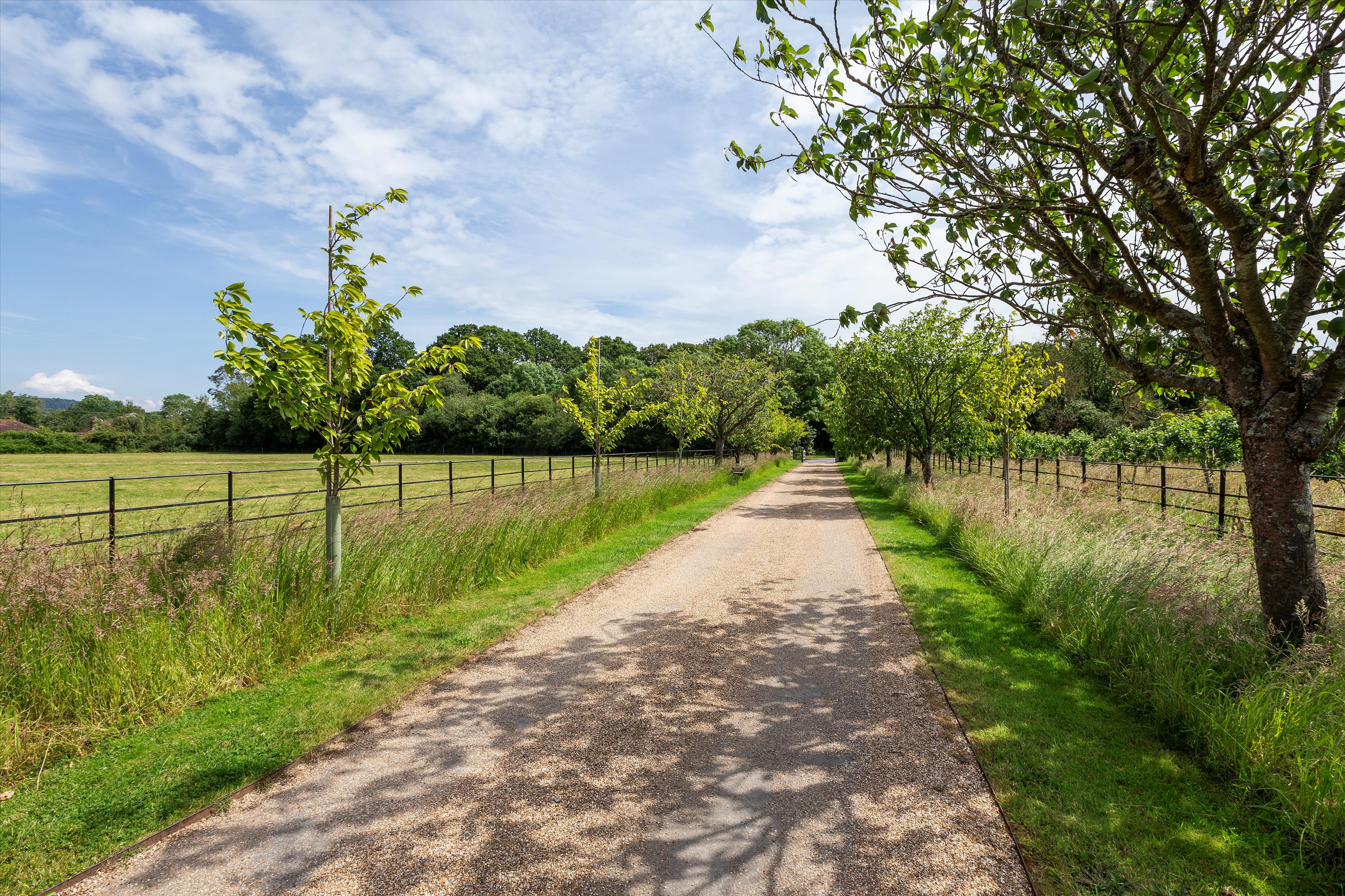 The Common, Dunsfold, Godalming, Surrey, GU8