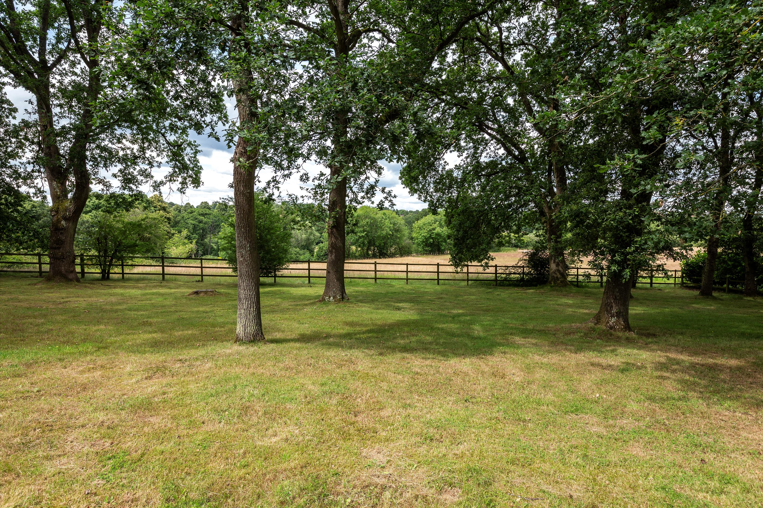 The Street, Frensham, Farnham, Surrey GU10
