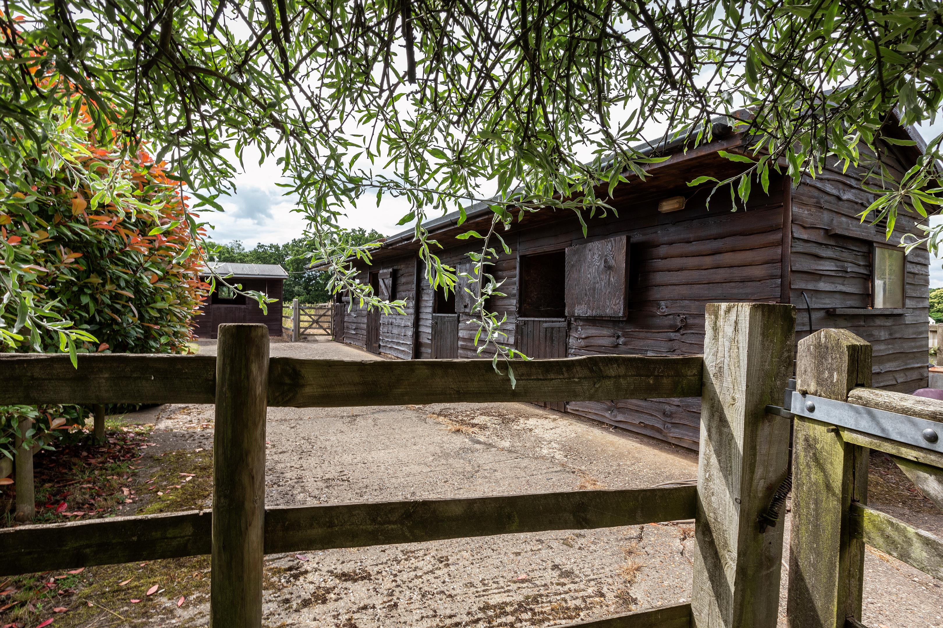 The Street, Frensham, Farnham, Surrey GU10