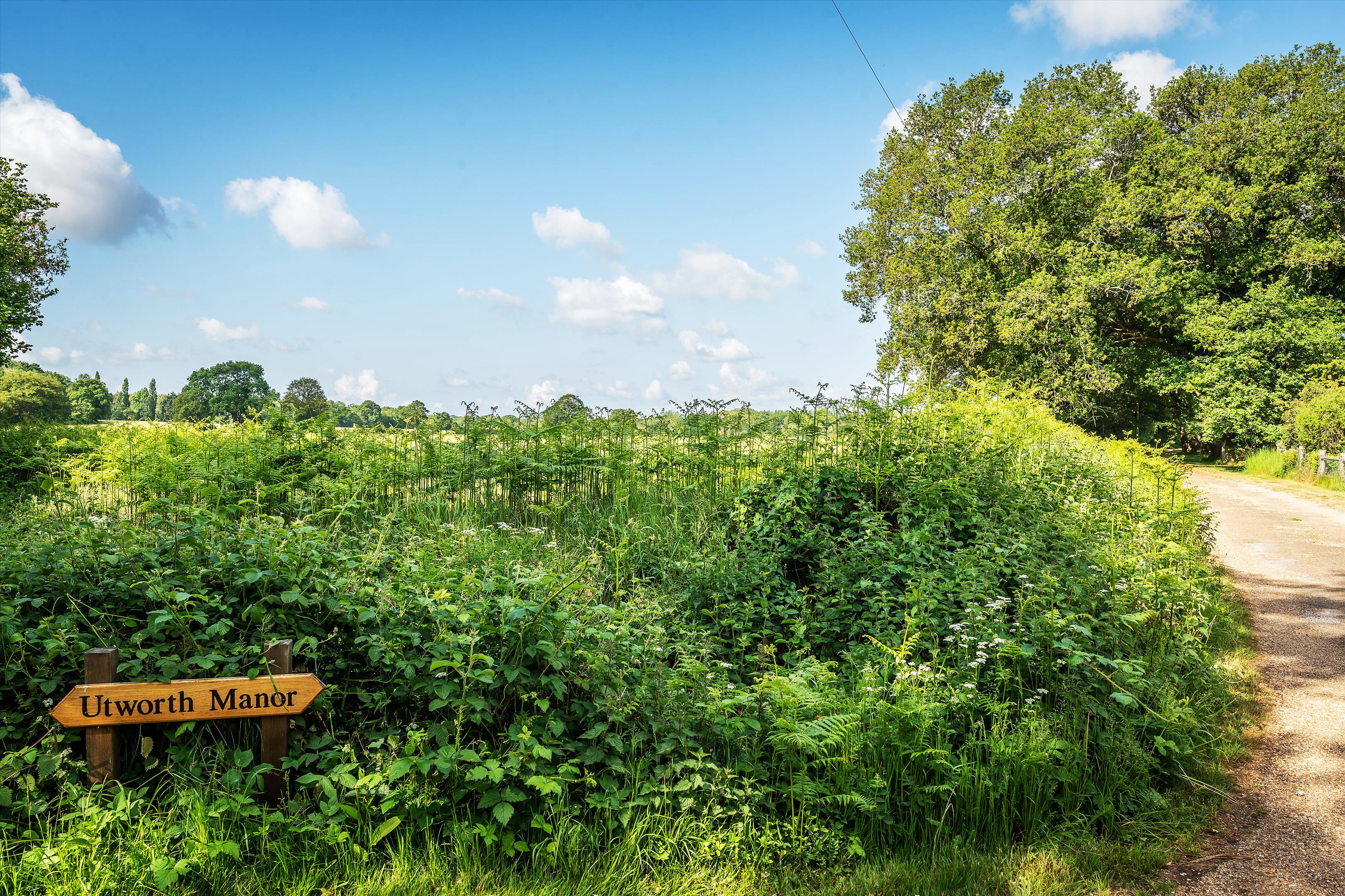 Utworth Manor, Nr Cranleigh, Surrey, GU6 8JU