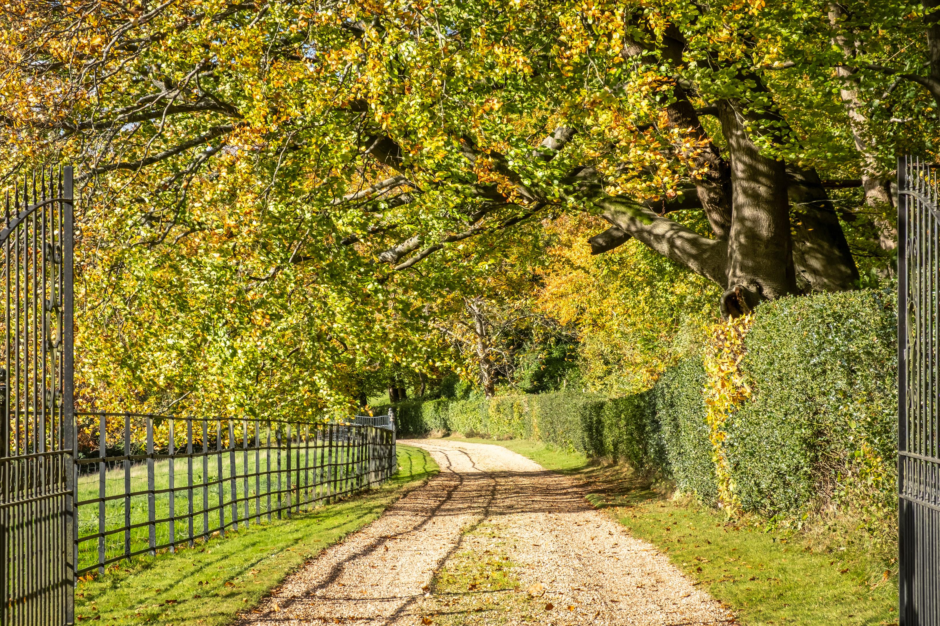 Tanhurst Lane, Holmbury St. Mary, Dorking, Surrey, RH5