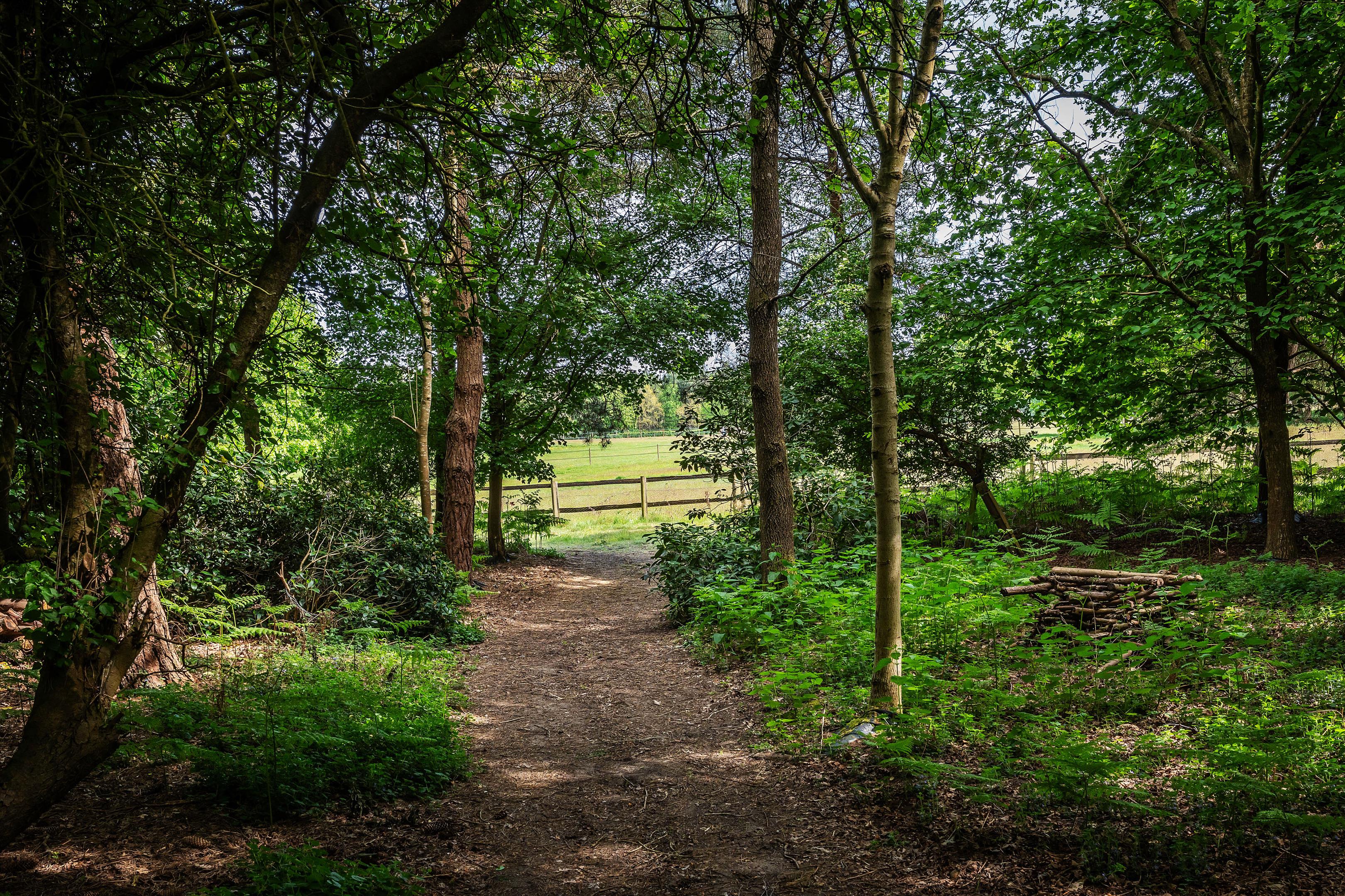 Blanchards Hill, Sutton Green, Guildford, Surrey, GU4 7QJ