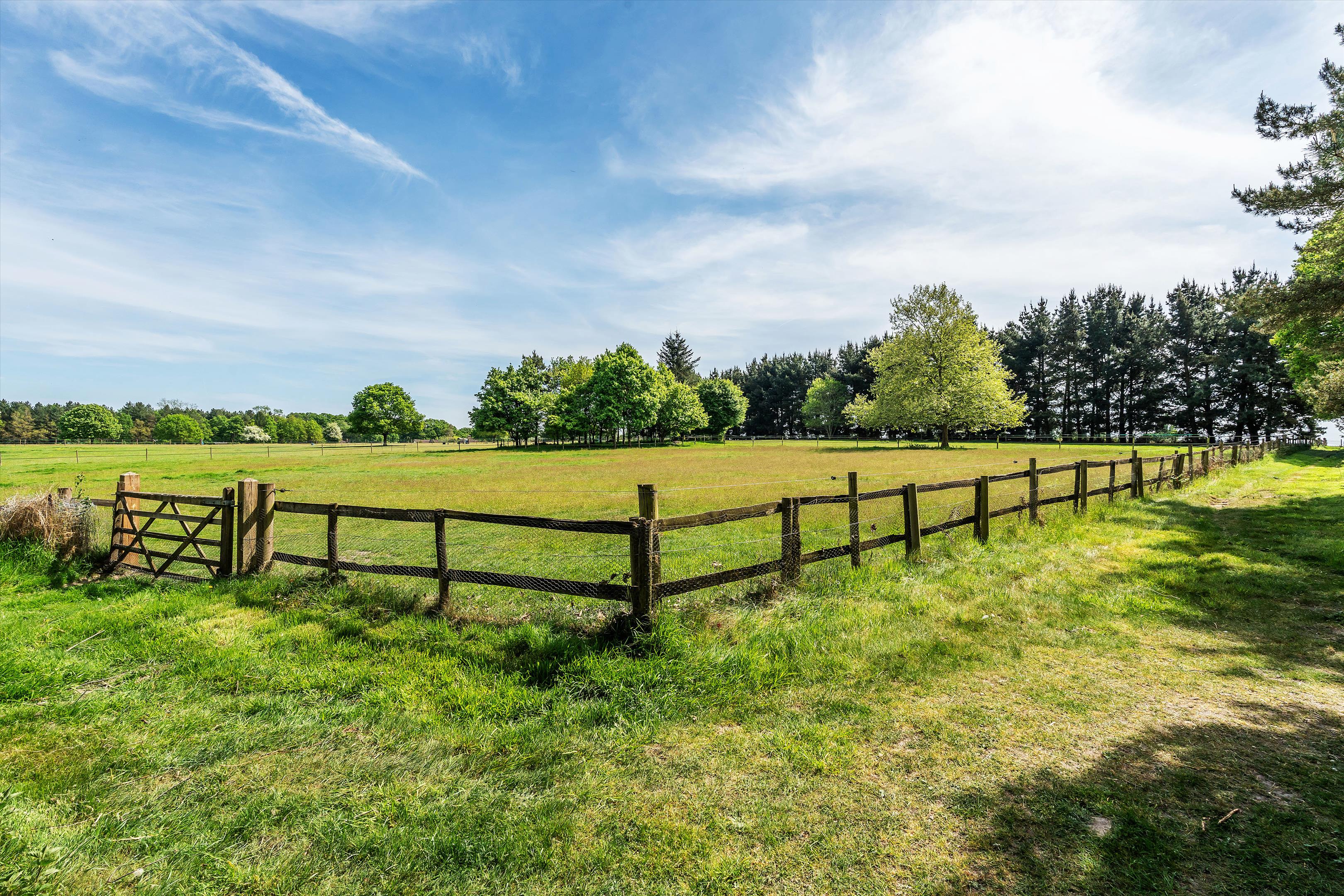 Blanchards Hill, Sutton Green, Guildford, Surrey, GU4 7QJ