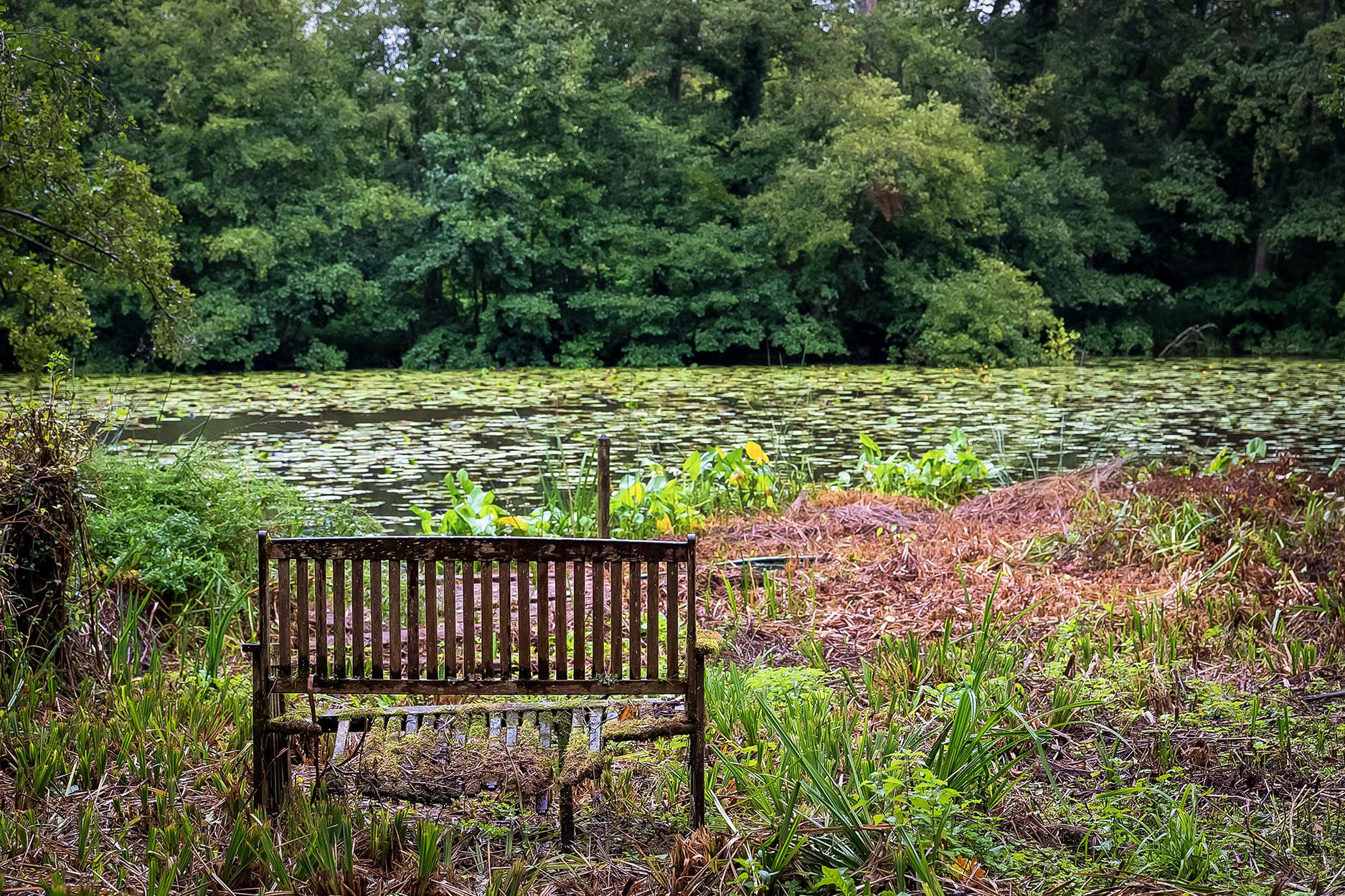 Vann Lake Road, Ockley, Dorking, Surrey RH5