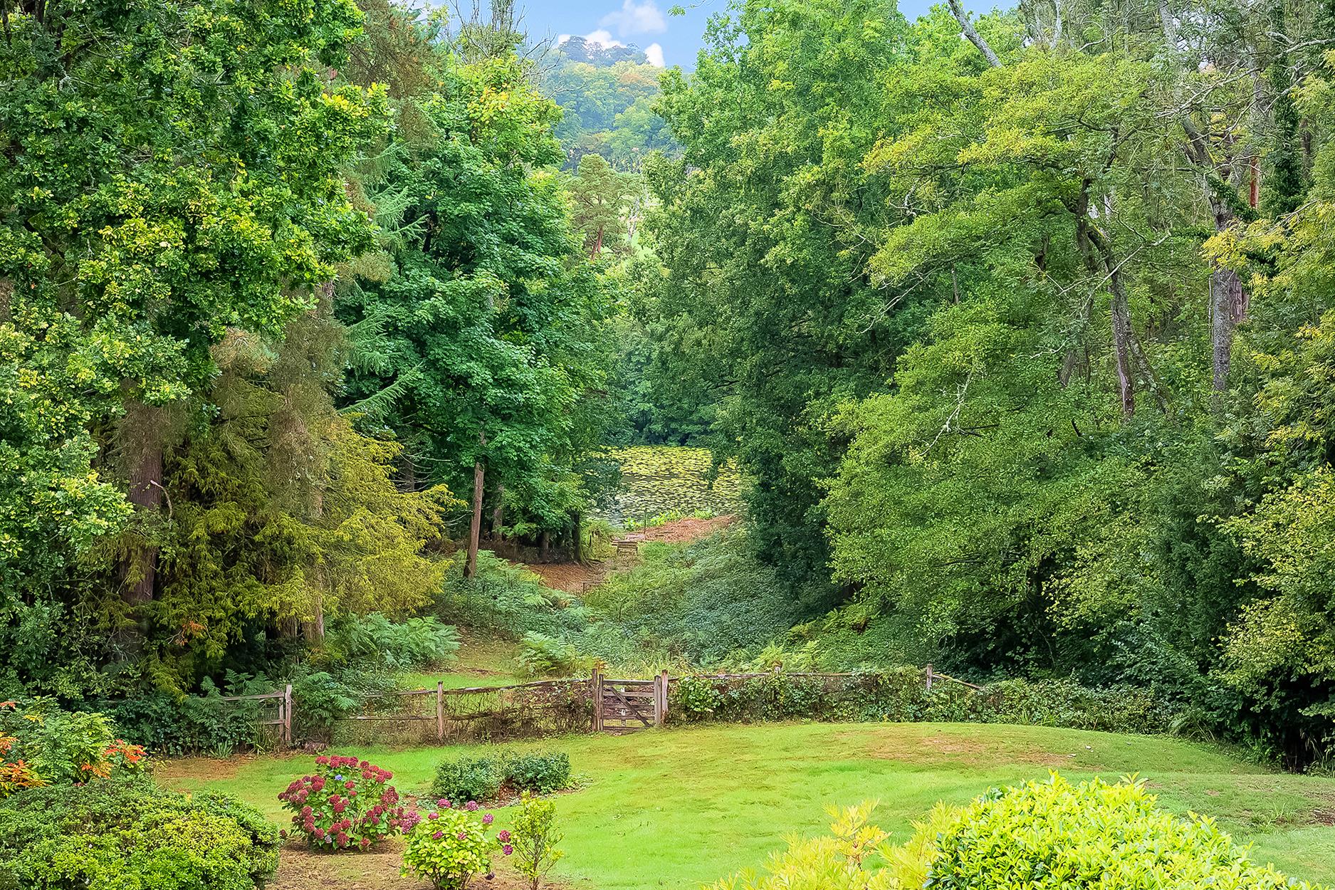Vann Lake Road, Ockley, Dorking, Surrey RH5