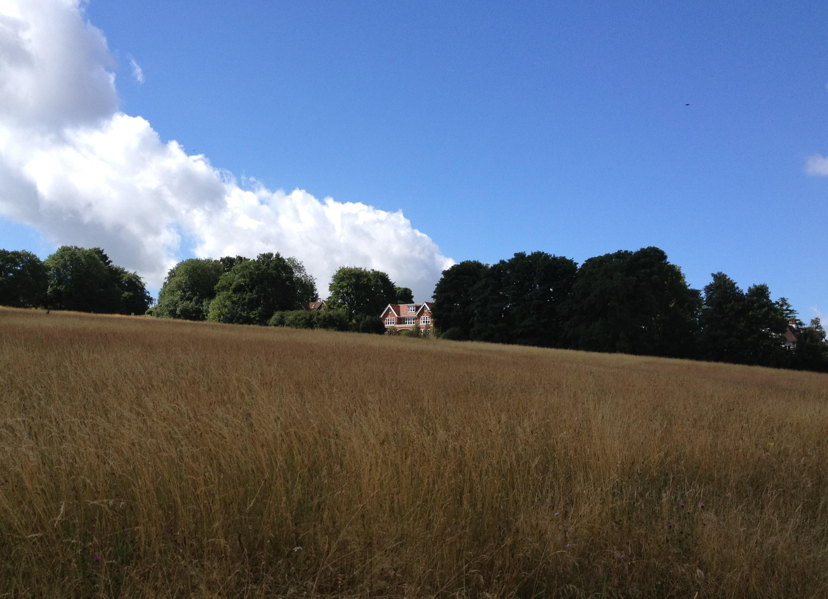 Warren Road, Guildford, Surrey GU1