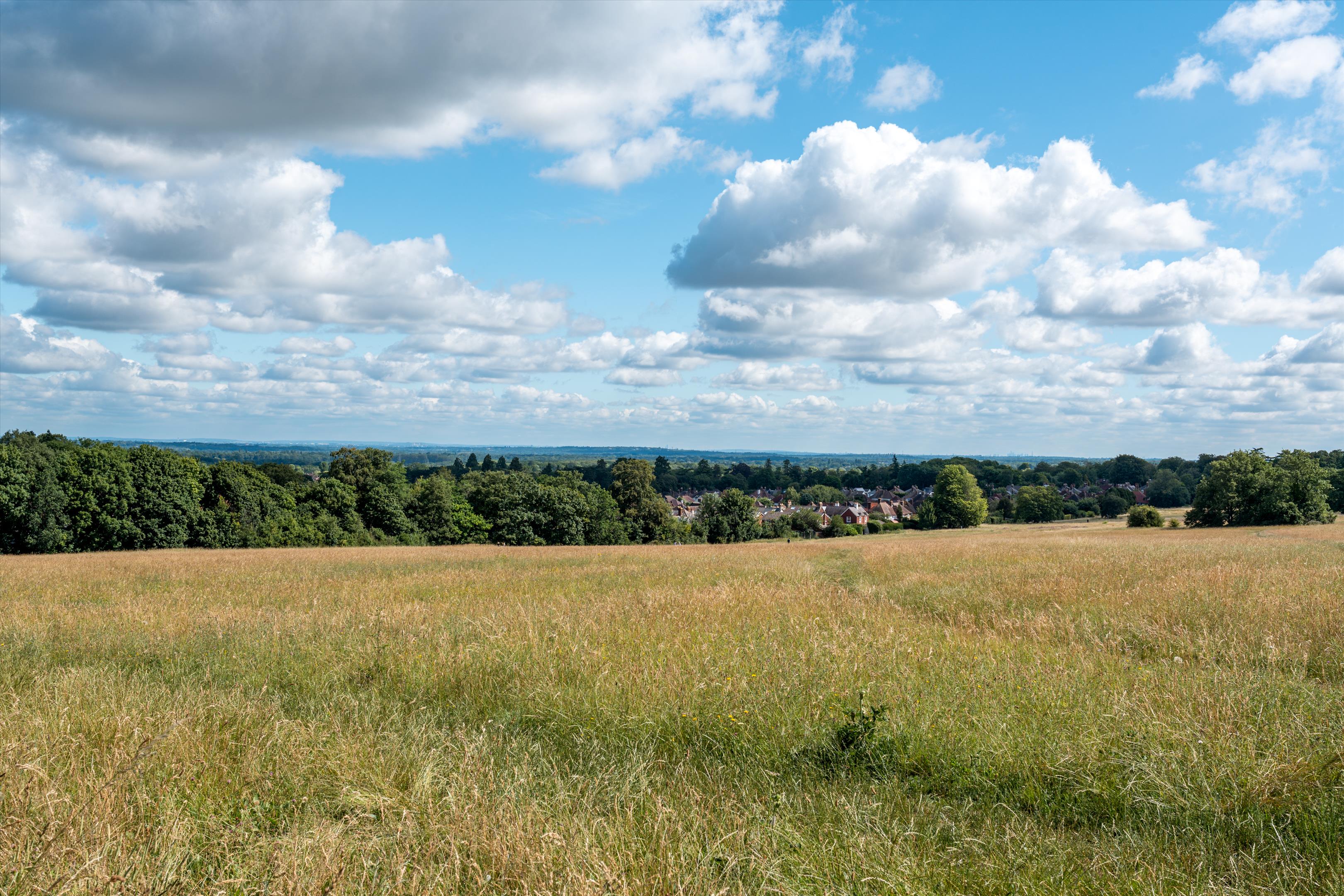 Warren Road, Guildford, Surrey GU1
