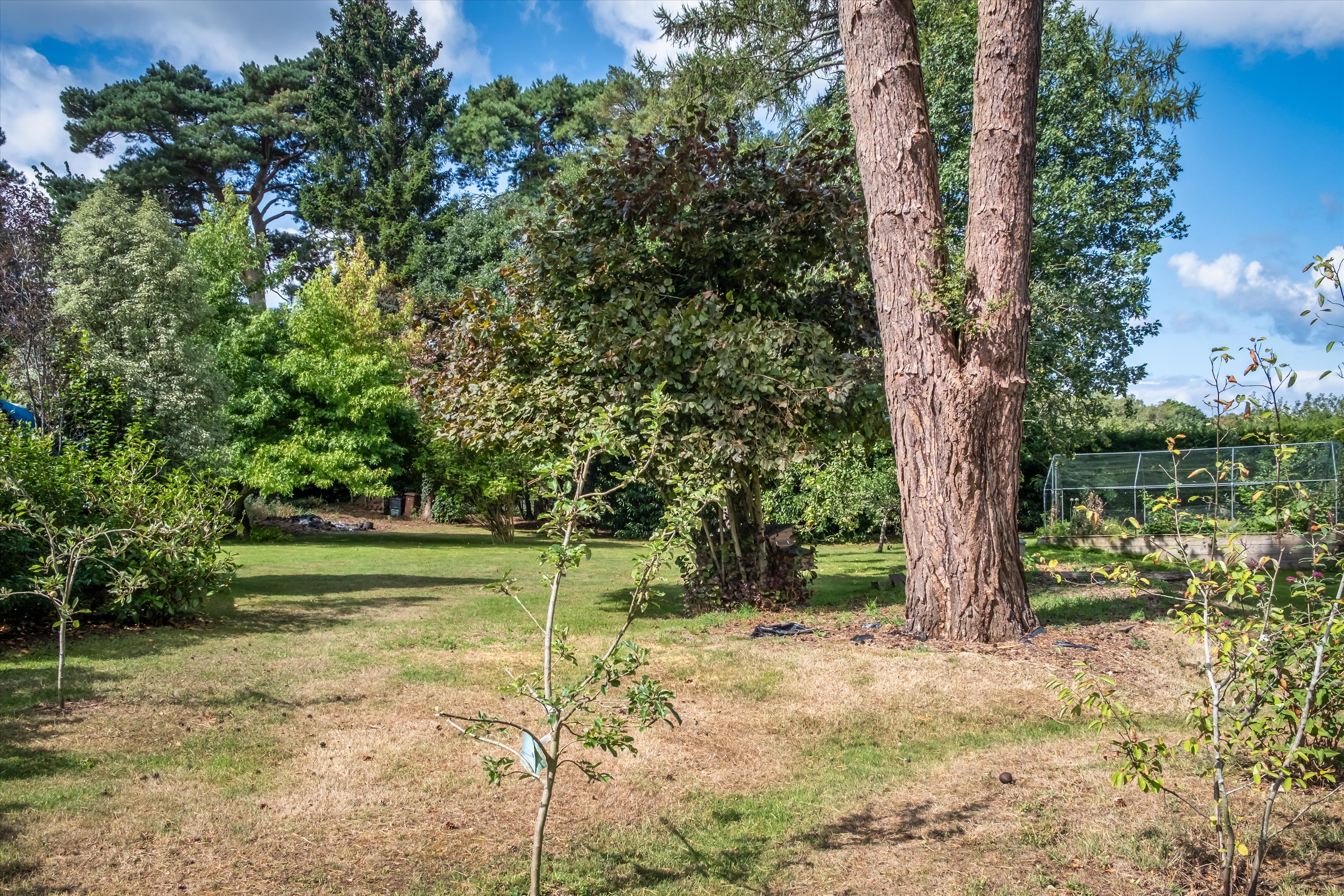 Lawbrook Lane, Peaslake, GU5.