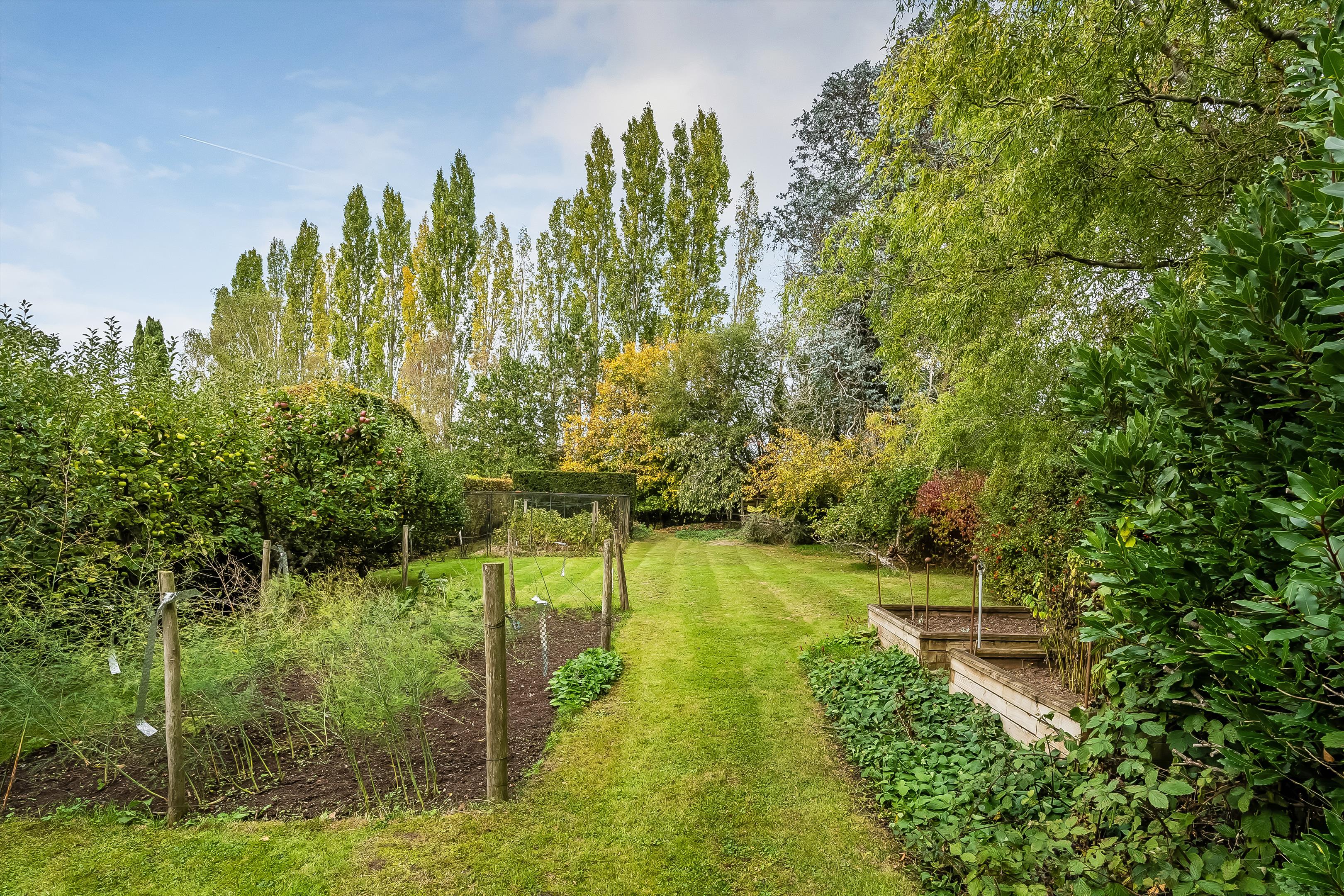 Ripley Lane, West Horsley, Surrey KT24 6JR