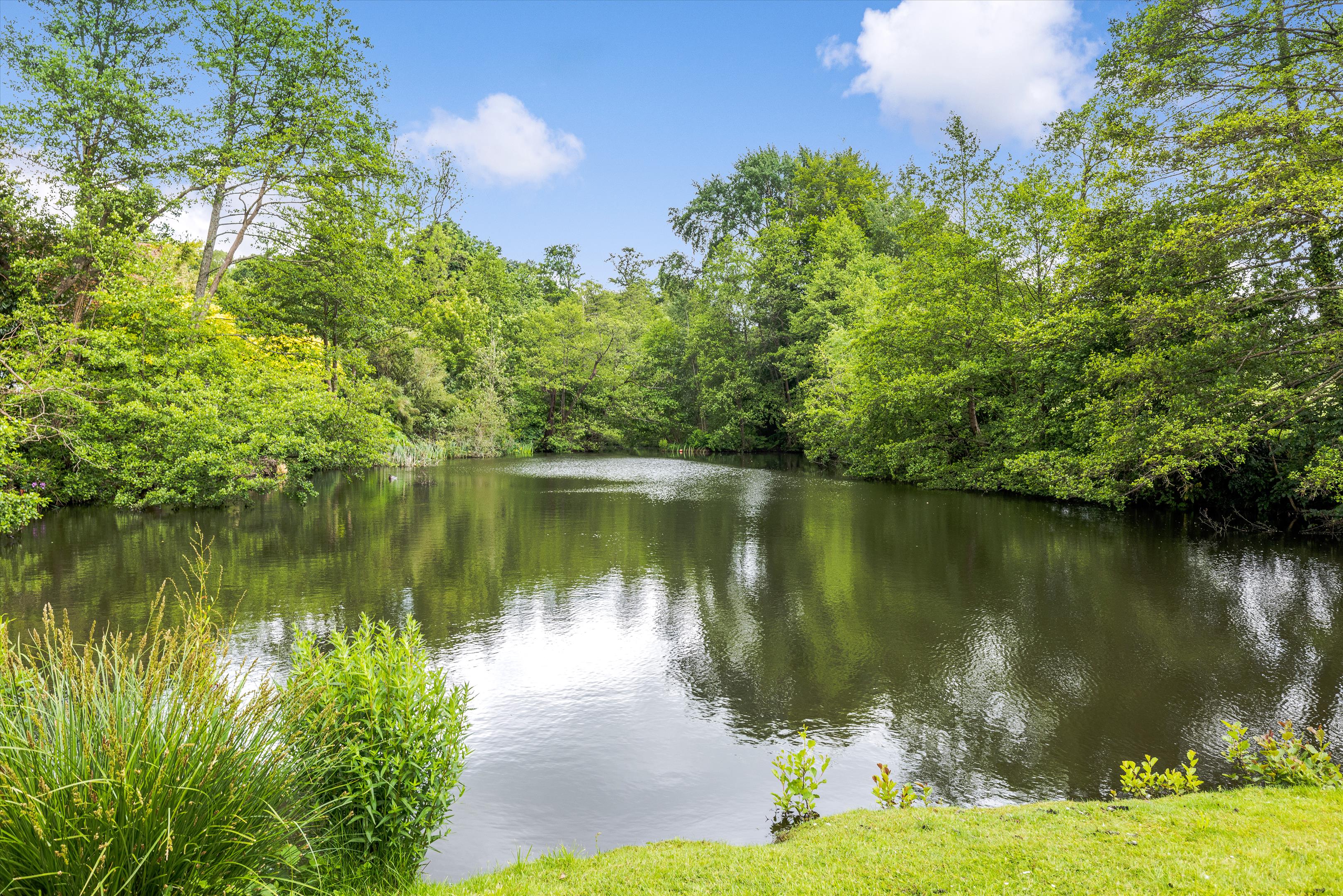 Enton, Godalming, Surrey, GU8